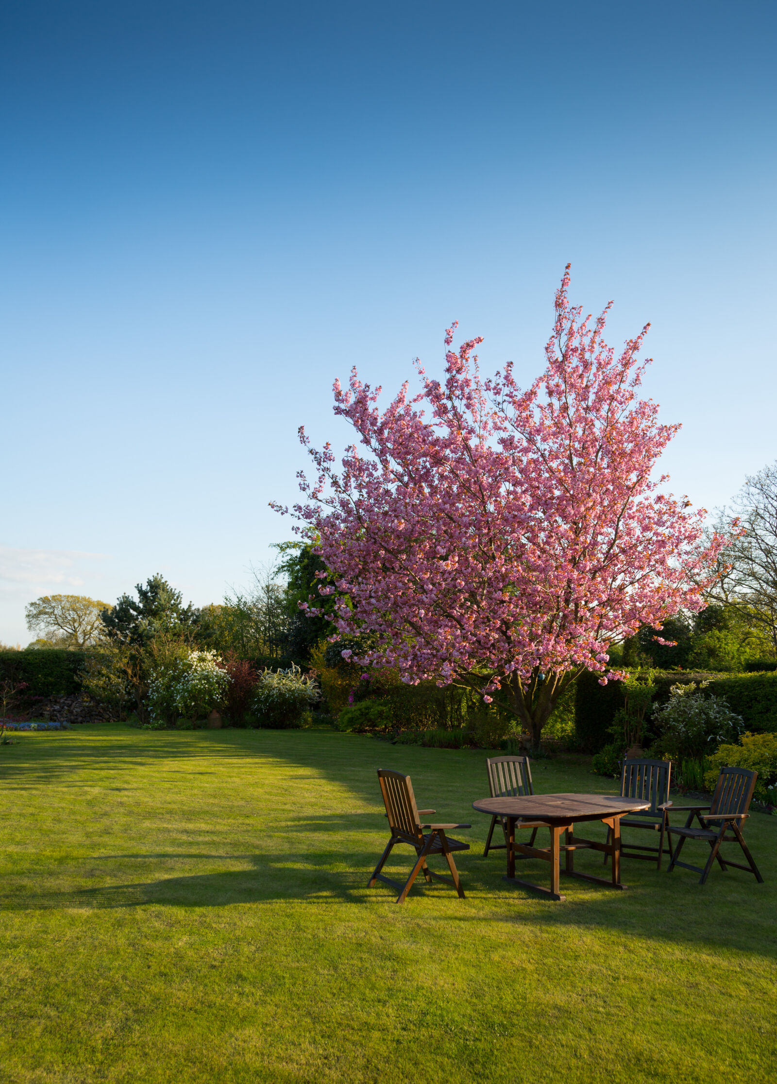 Canon EF 24-105mm F4L IS USM sample photo. Relaxation, garden, grass, spring photography
