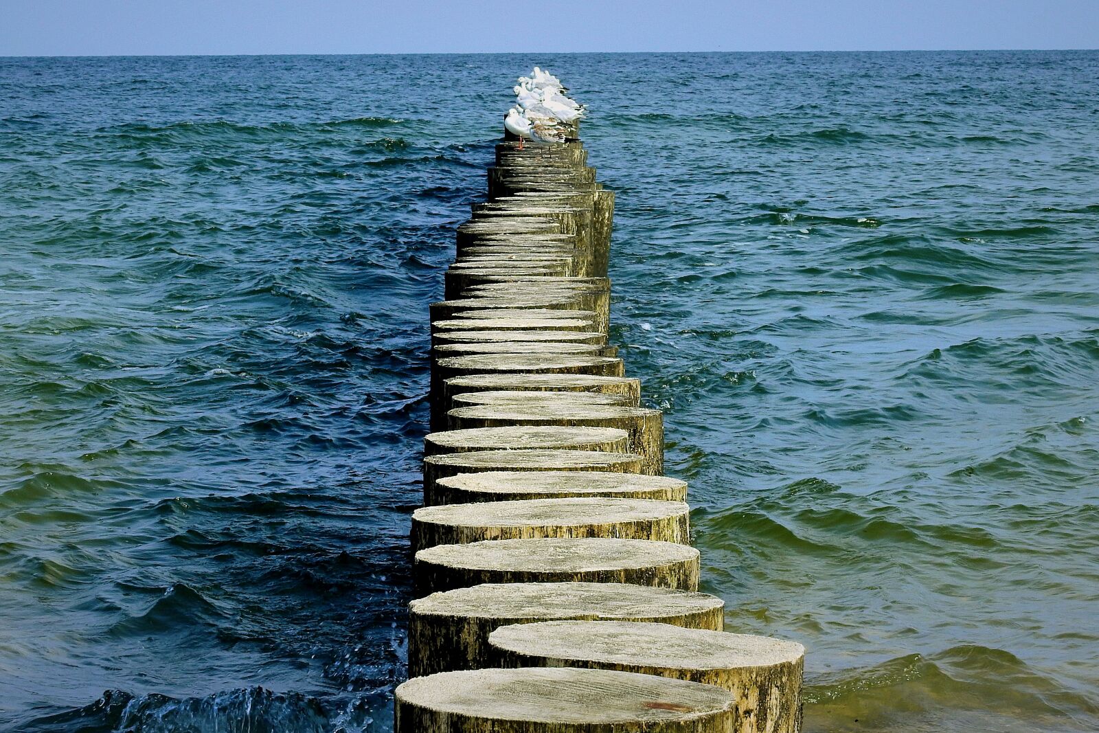 Nikon Coolpix P900 sample photo. Breakwater, sea, the waves photography