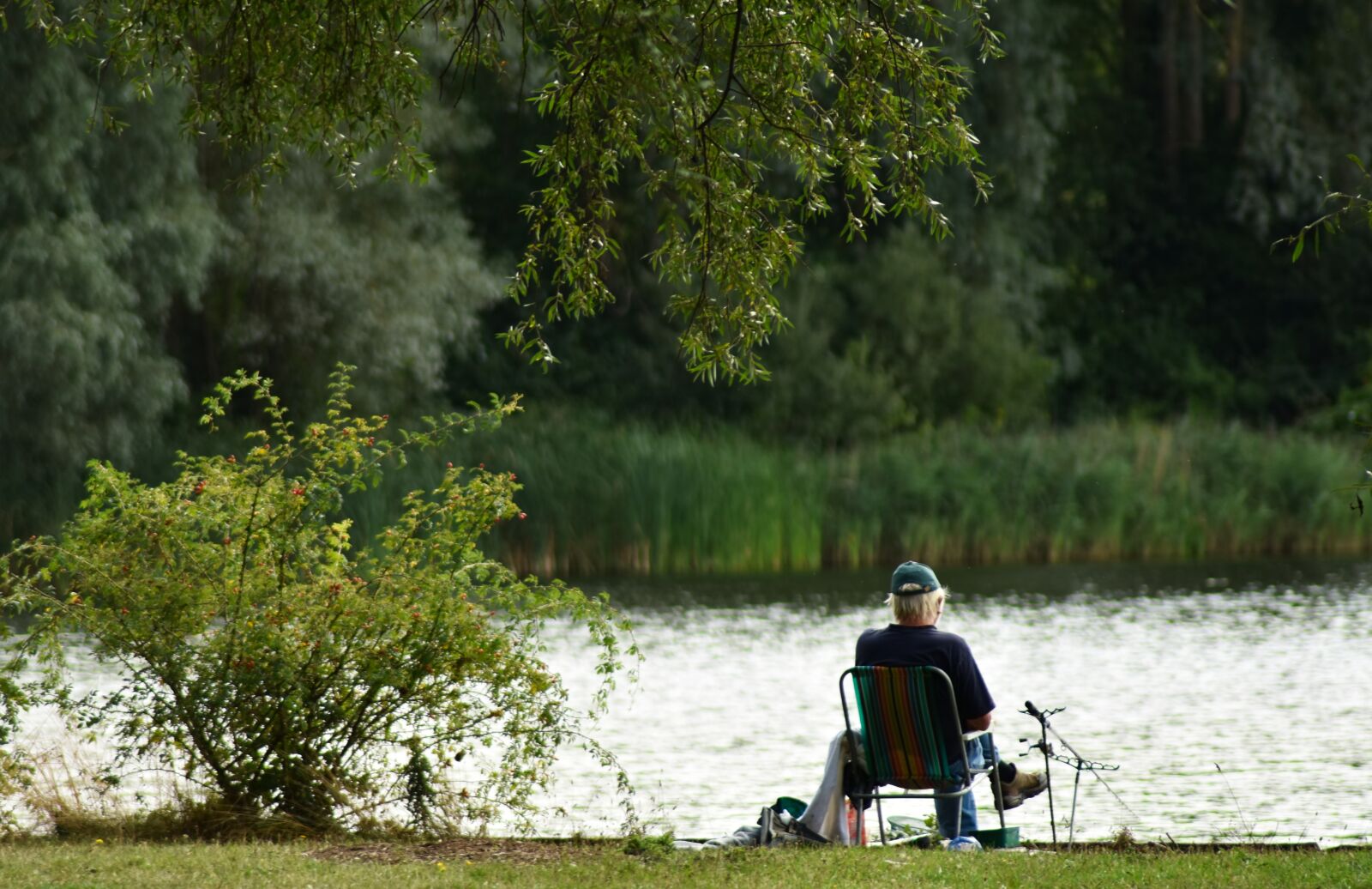 Nikon D3400 sample photo. Fisherman, fishing, bored photography