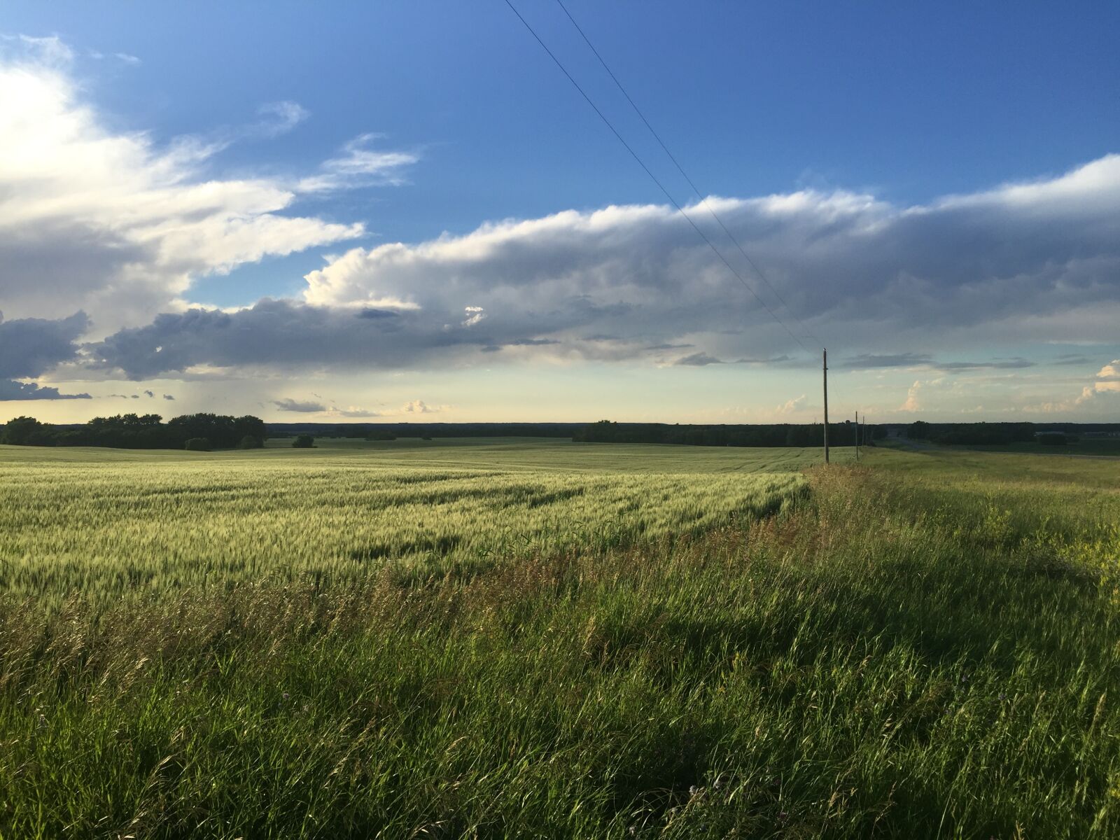 Apple iPhone 6 sample photo. Nature, fields, clouds photography