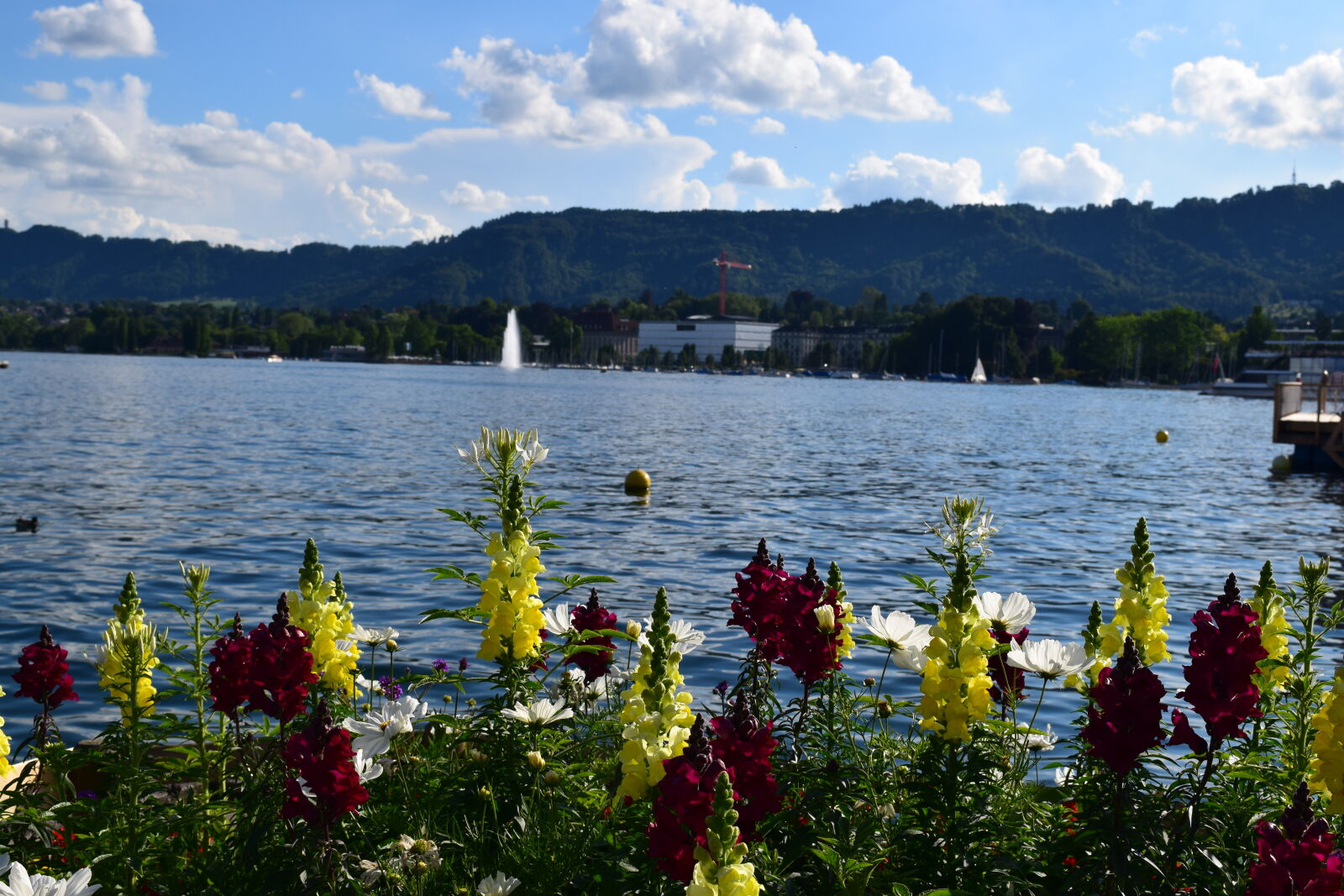 Nikon D3300 sample photo. Europe, flowers, lake, nature photography
