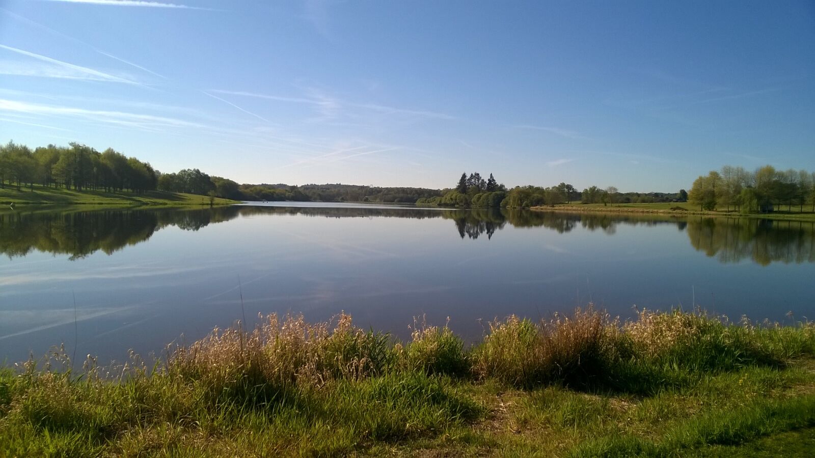 Nokia Lumia 735 sample photo. Lake, lavaud, grass photography