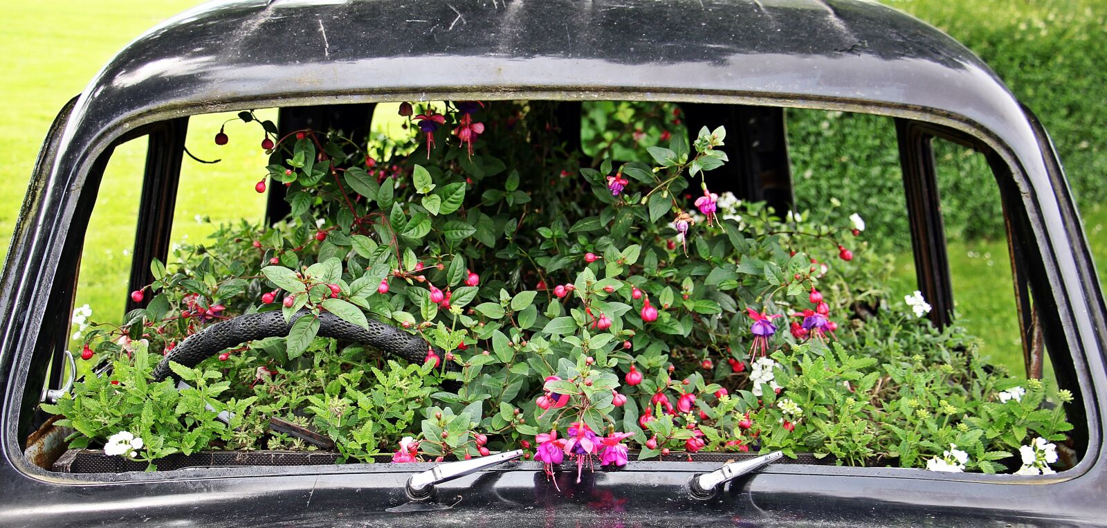 Canon EOS 550D (EOS Rebel T2i / EOS Kiss X4) sample photo. Auto, flowers bumper, planted photography