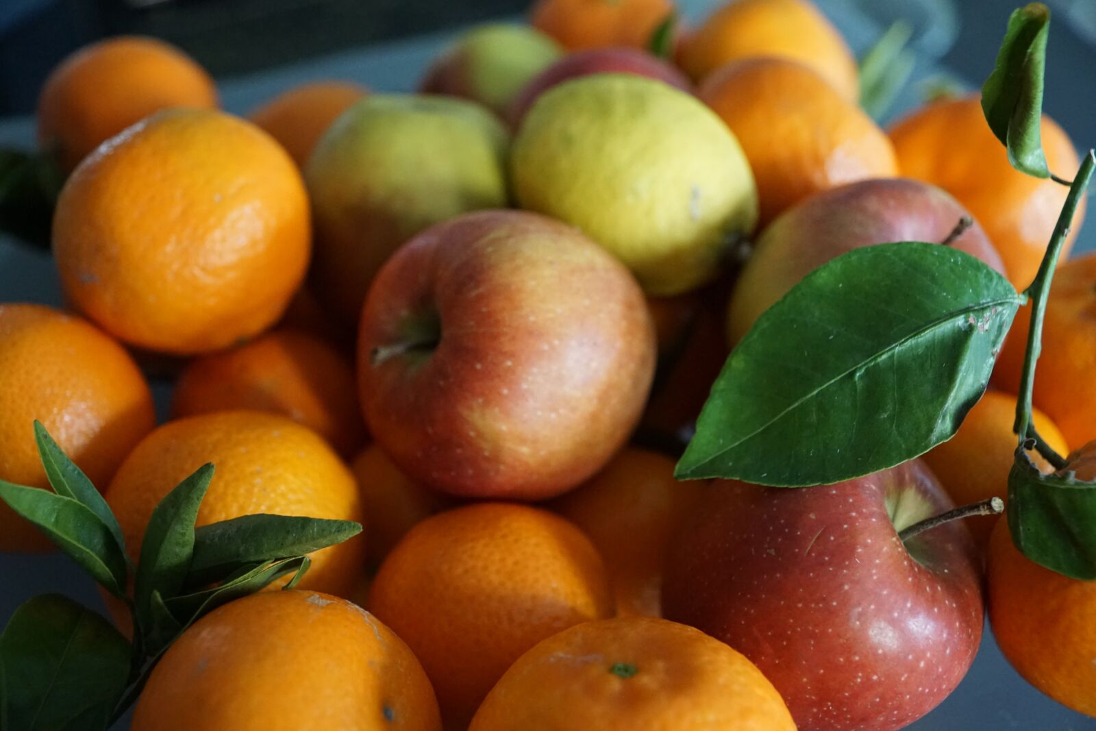 Sony DT 16-50mm F2.8 SSM sample photo. Fruit, apple, leaf photography
