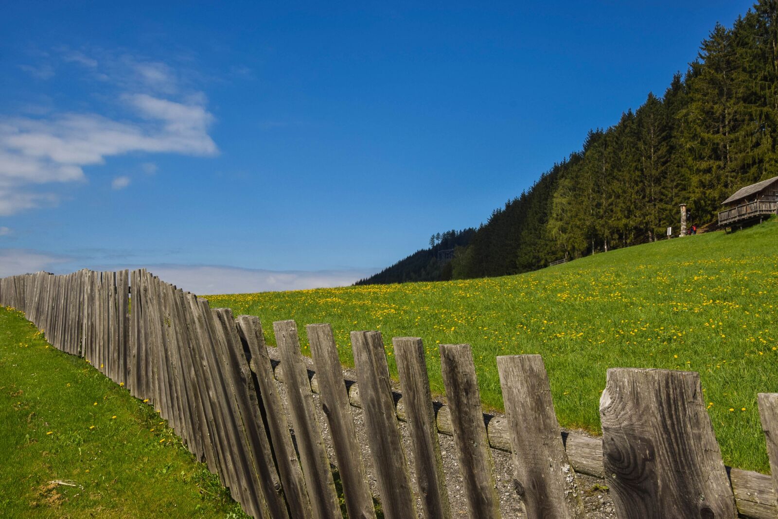 Nikon D3300 sample photo. Meadow, green, landscape photography