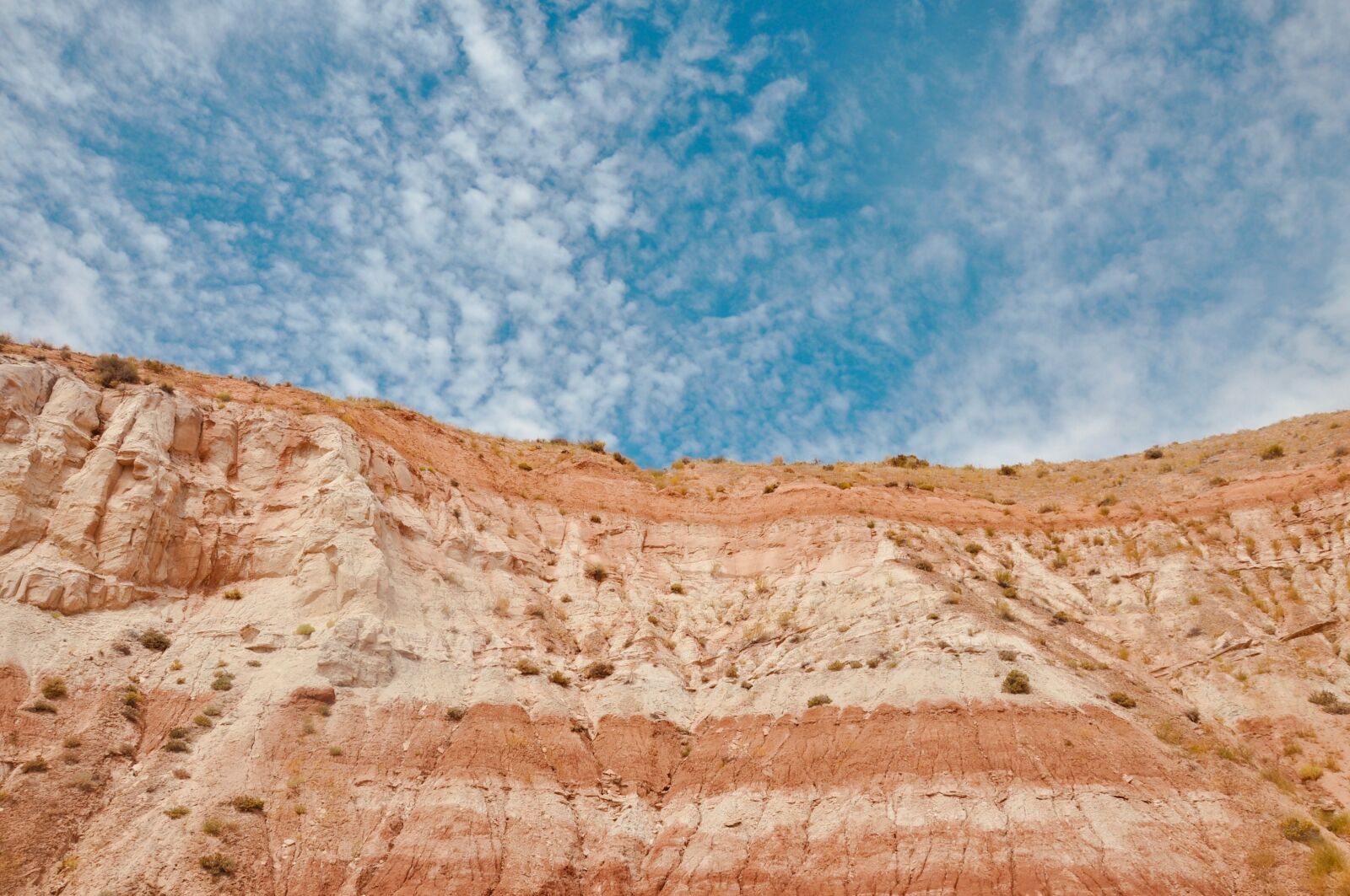 Nikon D5000 sample photo. America, usa, fire valley photography