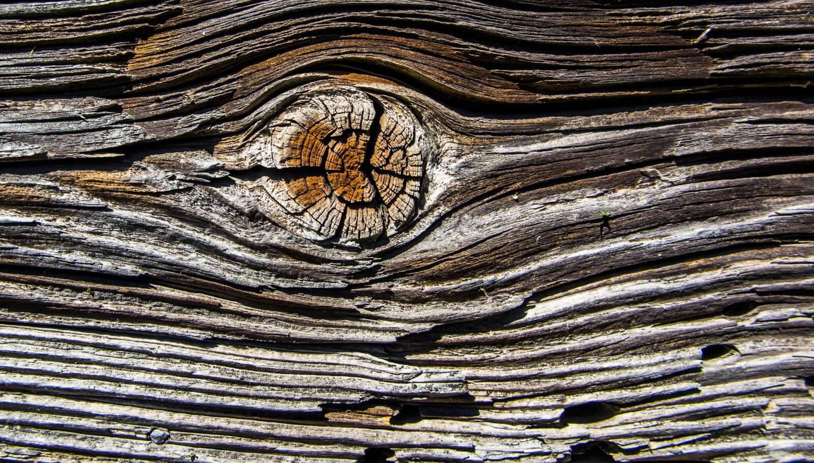 Canon PowerShot G1 X Mark II sample photo. Wood, plank, old photography