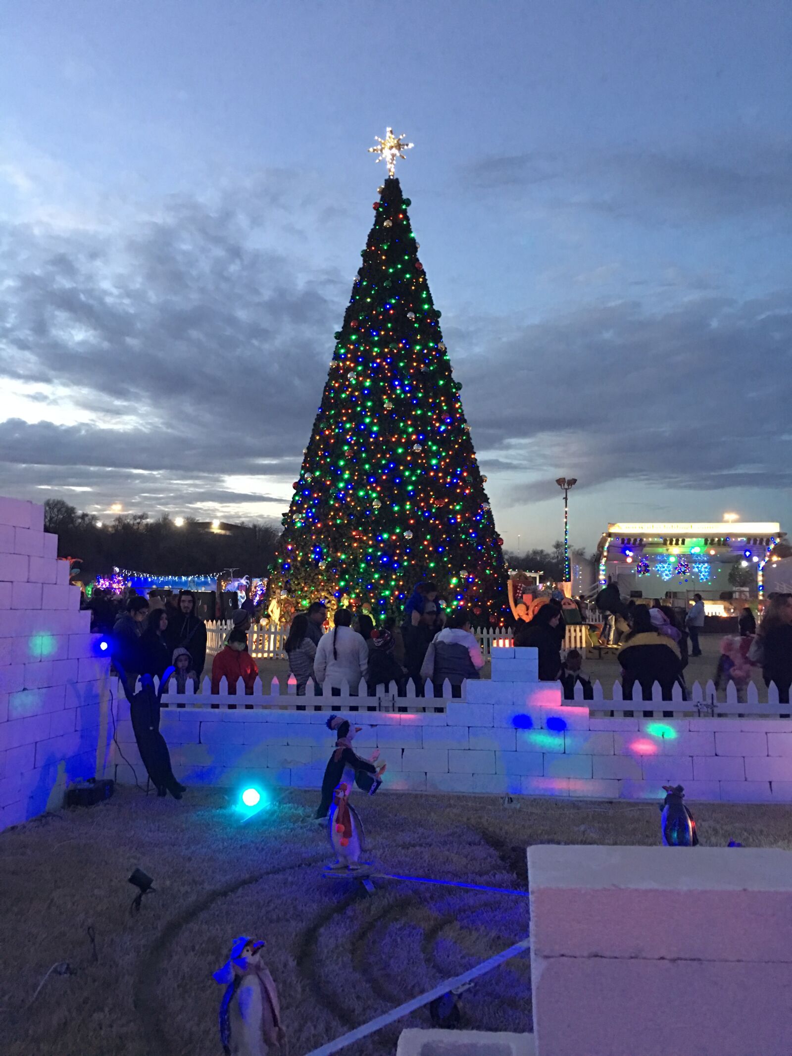 iPhone 6s Plus back camera 4.15mm f/2.2 sample photo. Big, christmas, tree photography
