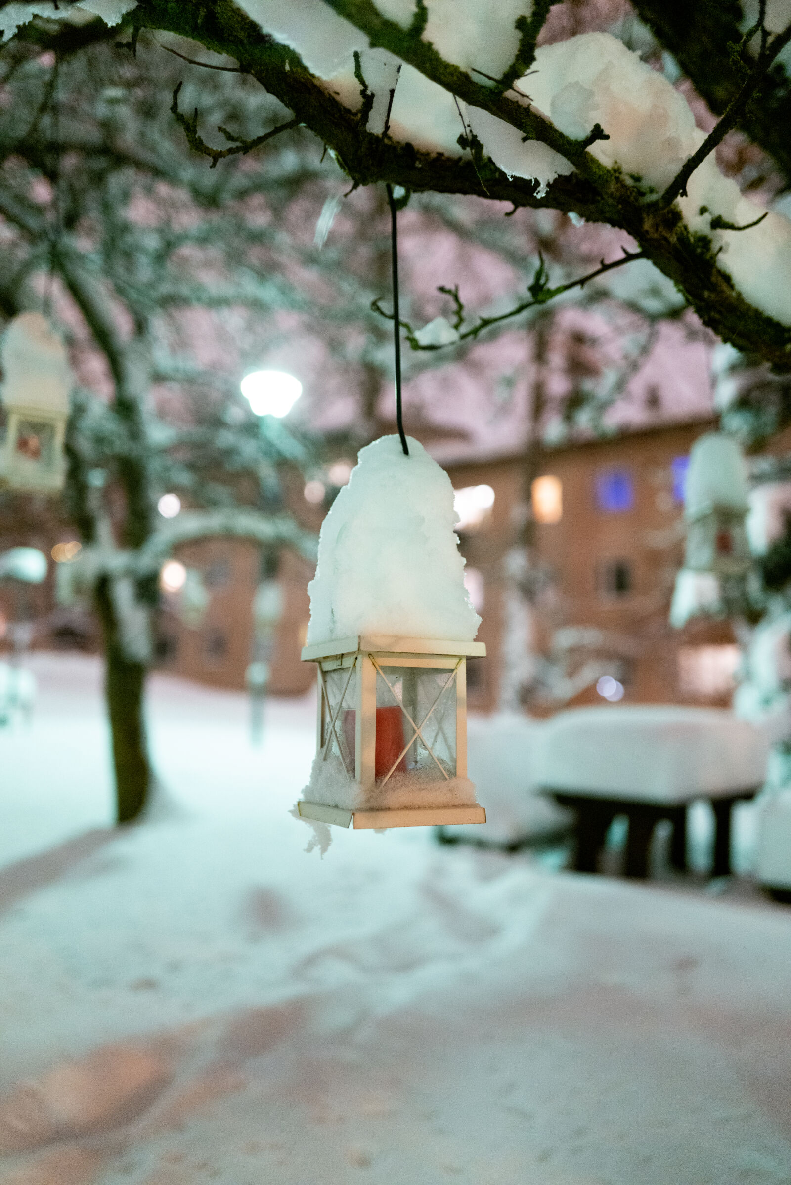 Leica Q2 sample photo. Snow covered lantern of photography