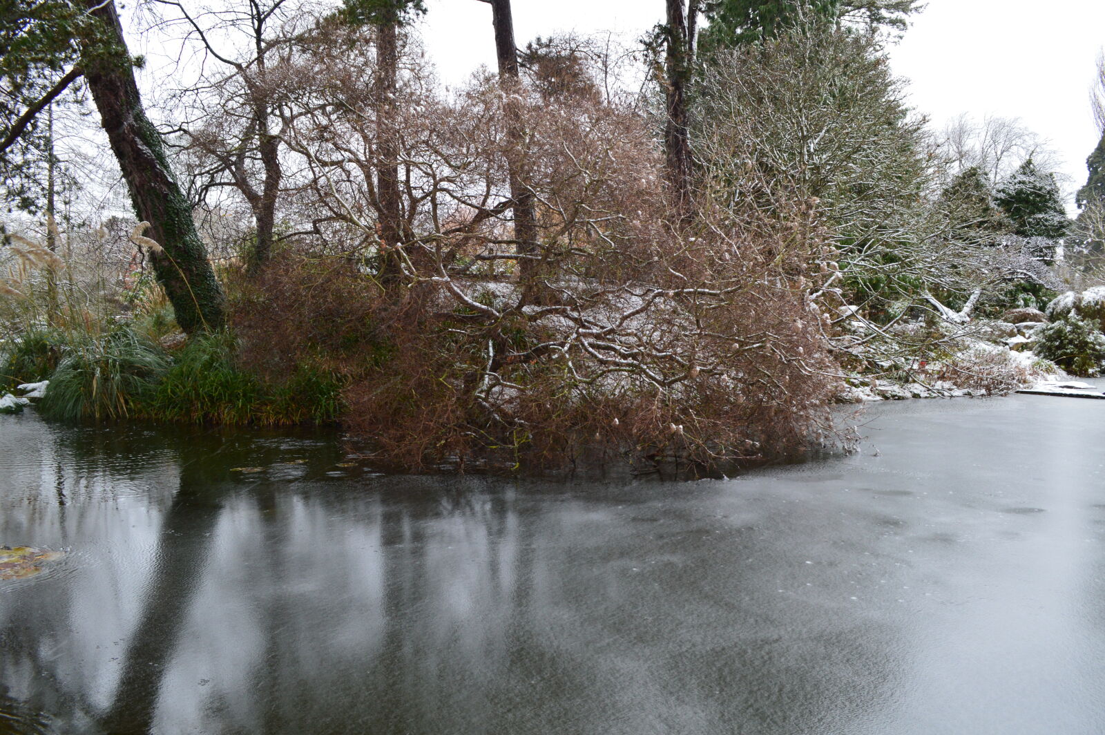 Nikon D3200 sample photo. Frozen, lake, snow, winter photography