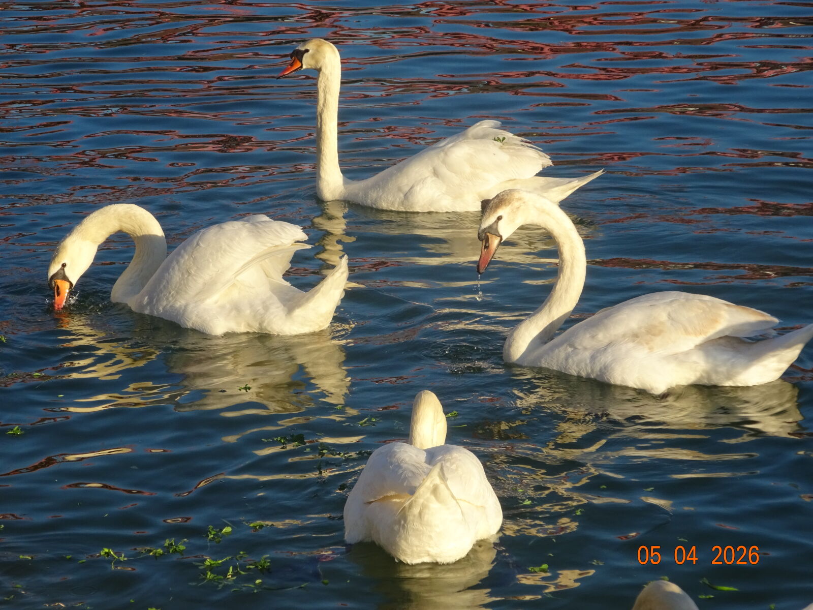 Sony Cyber-shot DSC-WX350 sample photo