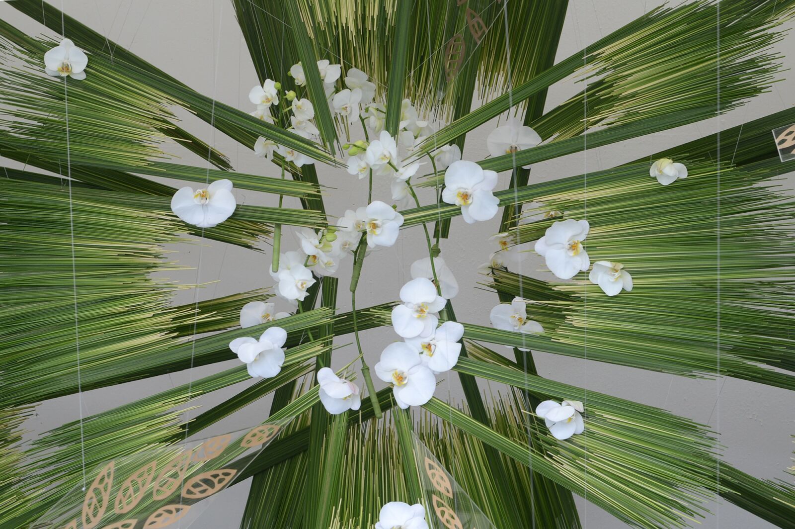 Nikon D3200 sample photo. Flowers, art, furnishings photography