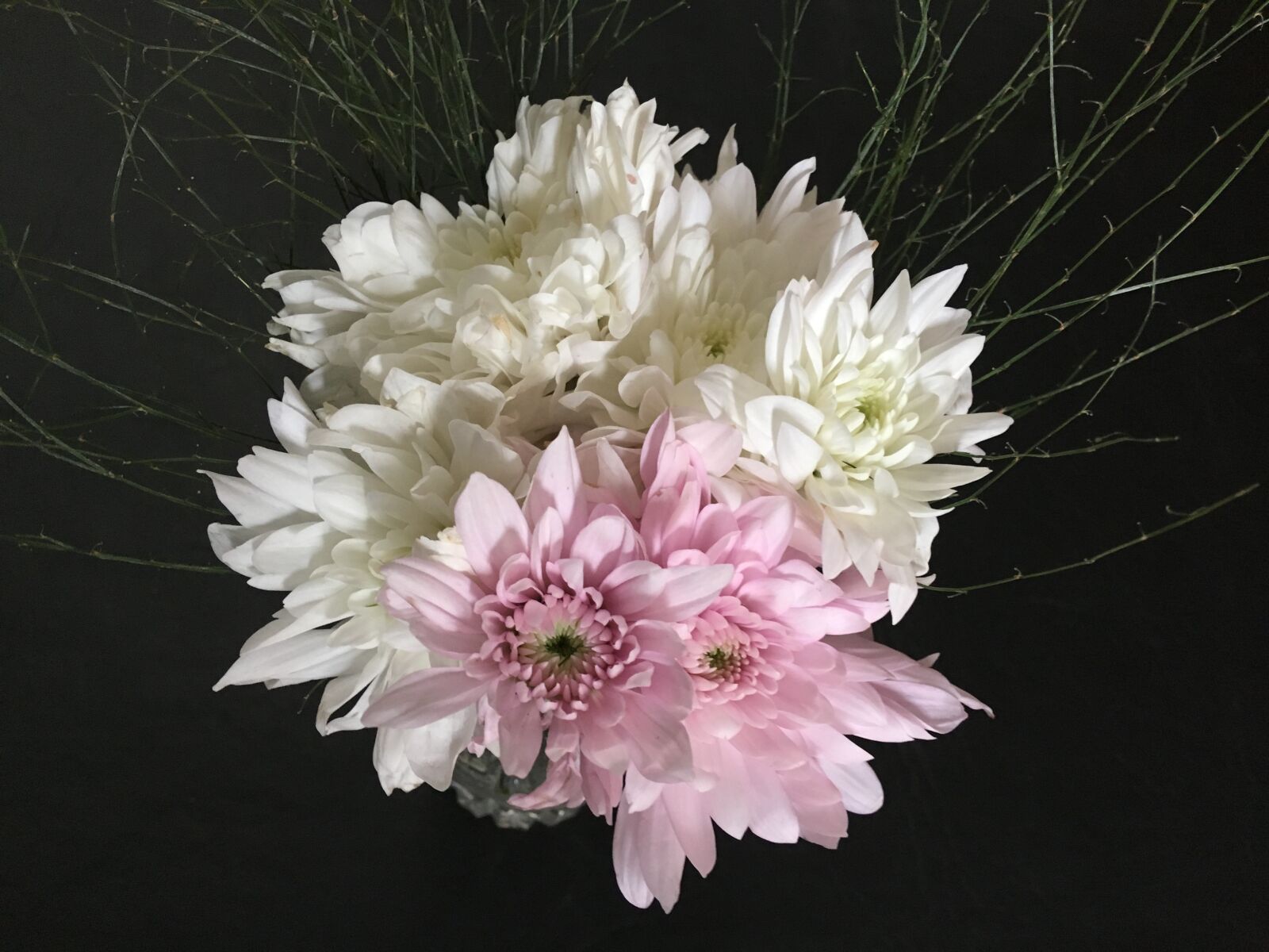 Apple iPhone 6s Plus sample photo. White flowers, pink, rosa photography