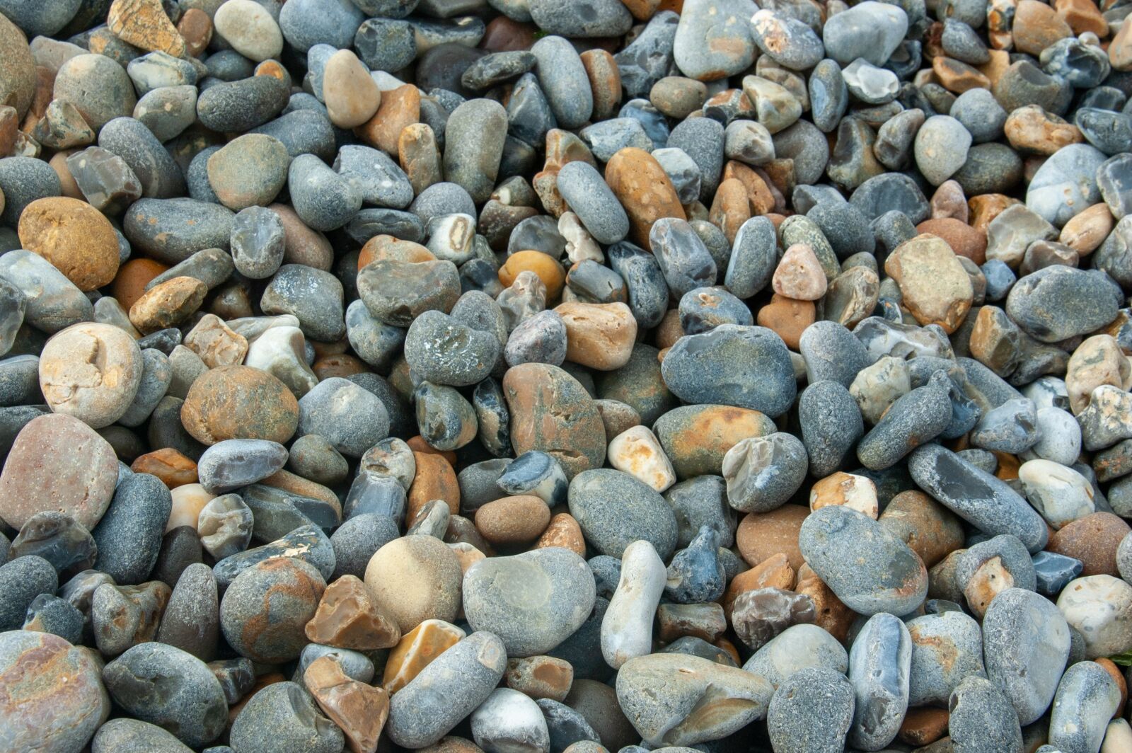 Nikon D70 sample photo. Stones, beach, pebbles photography