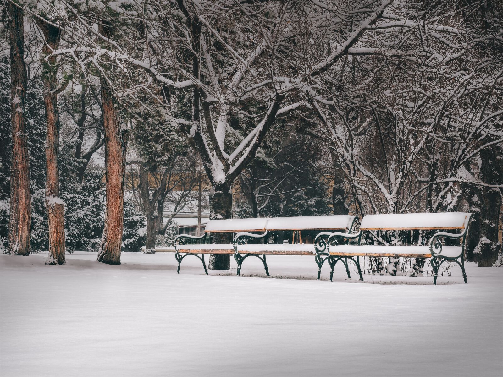 Olympus OM-D E-M1 + Olympus M.Zuiko Digital ED 12-40mm F2.8 Pro sample photo. Vienna, park, park bench photography