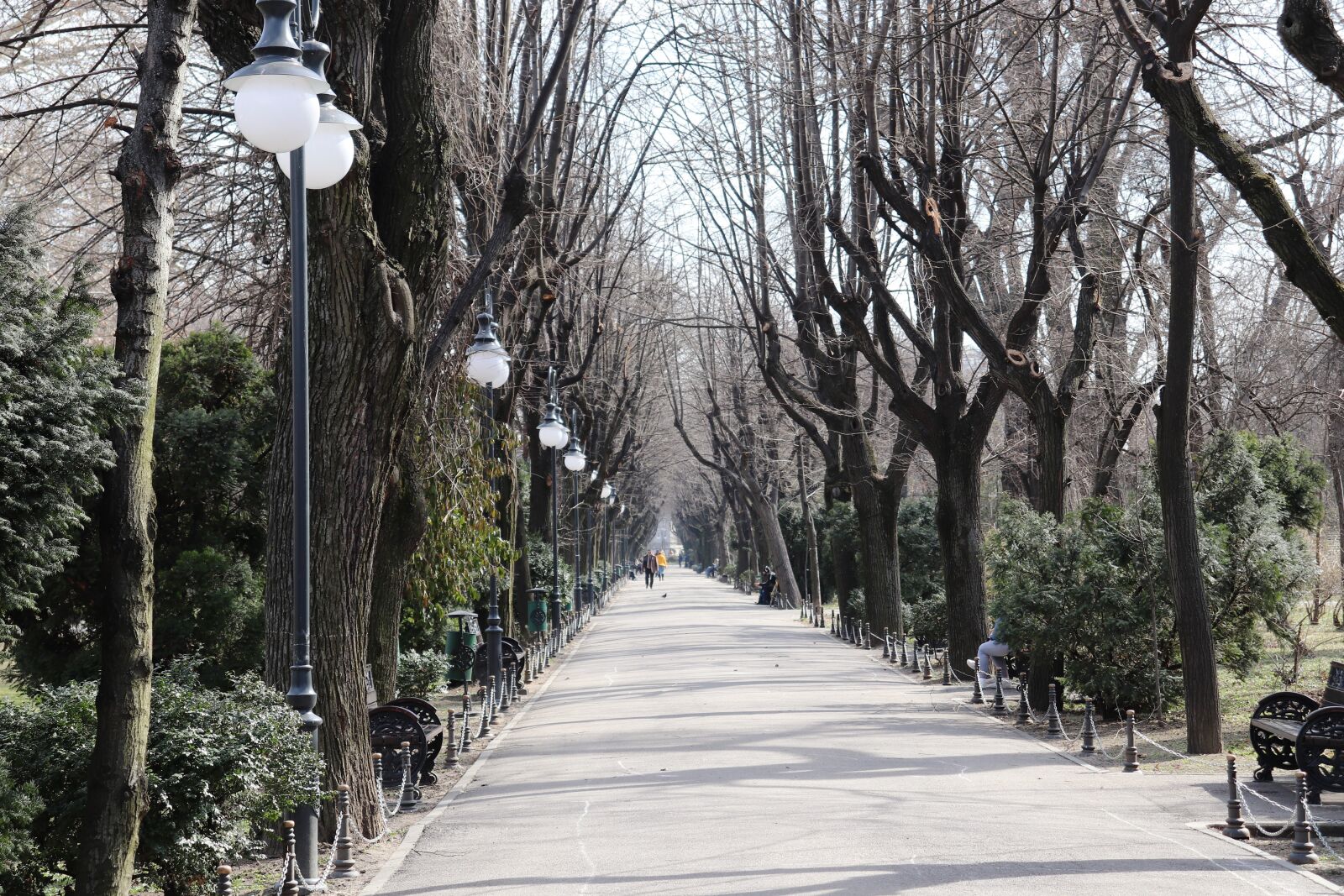 Canon EOS 200D (EOS Rebel SL2 / EOS Kiss X9) sample photo. Park, bucharest, ro photography