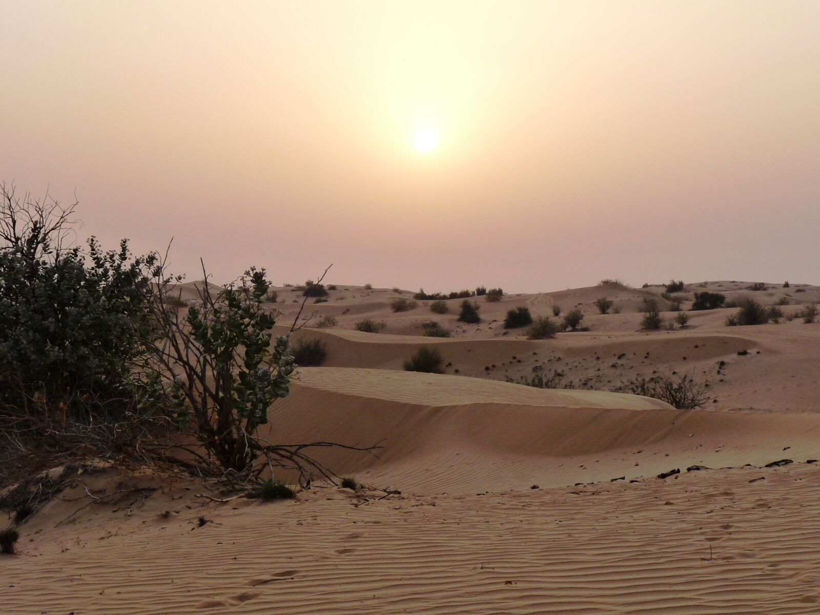 Panasonic Lumix DMC-FZ28 sample photo. Desert, sunset, heat photography