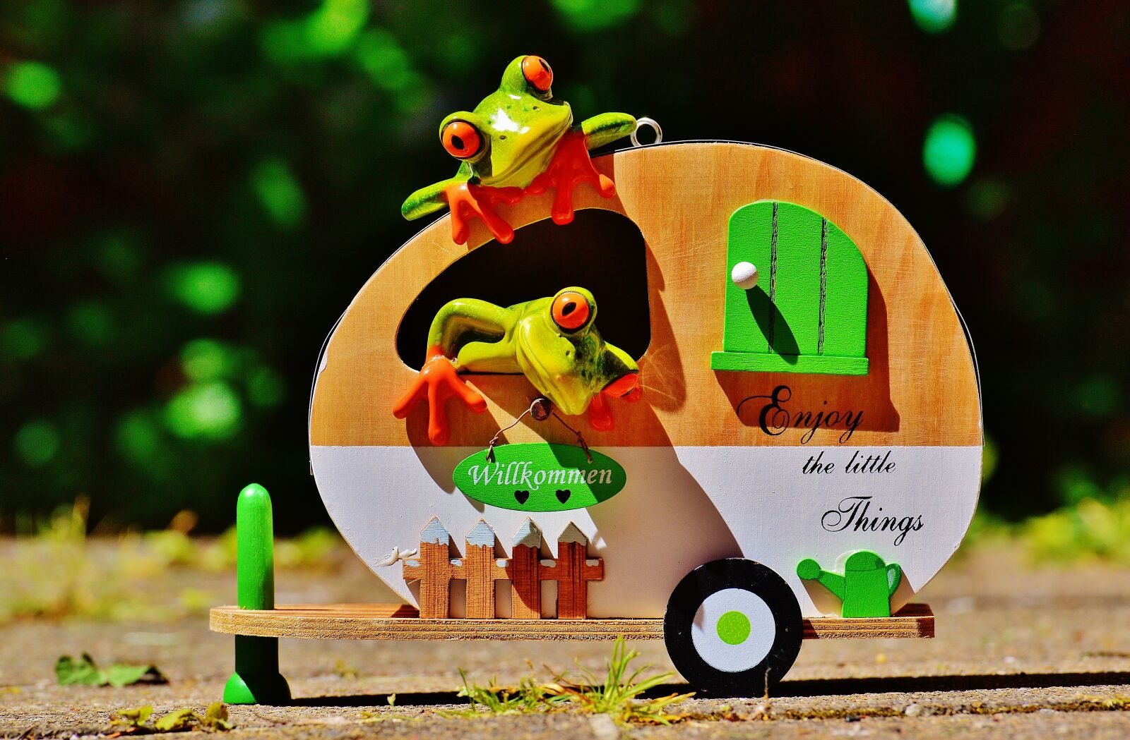 Nikon D3200 sample photo. Frogs, caravan, funny photography