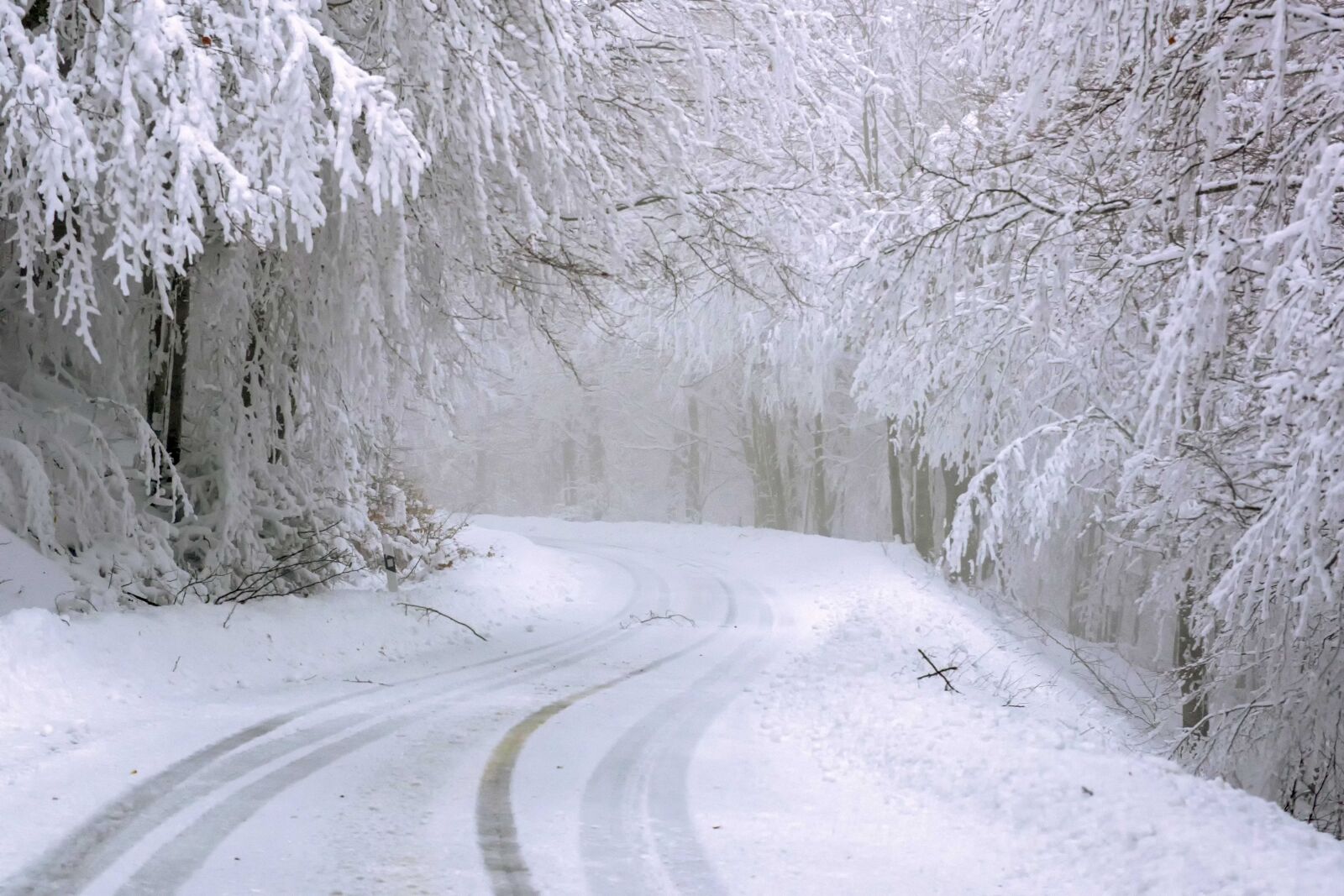 Nikon D5300 sample photo. Snow, cold, trees photography