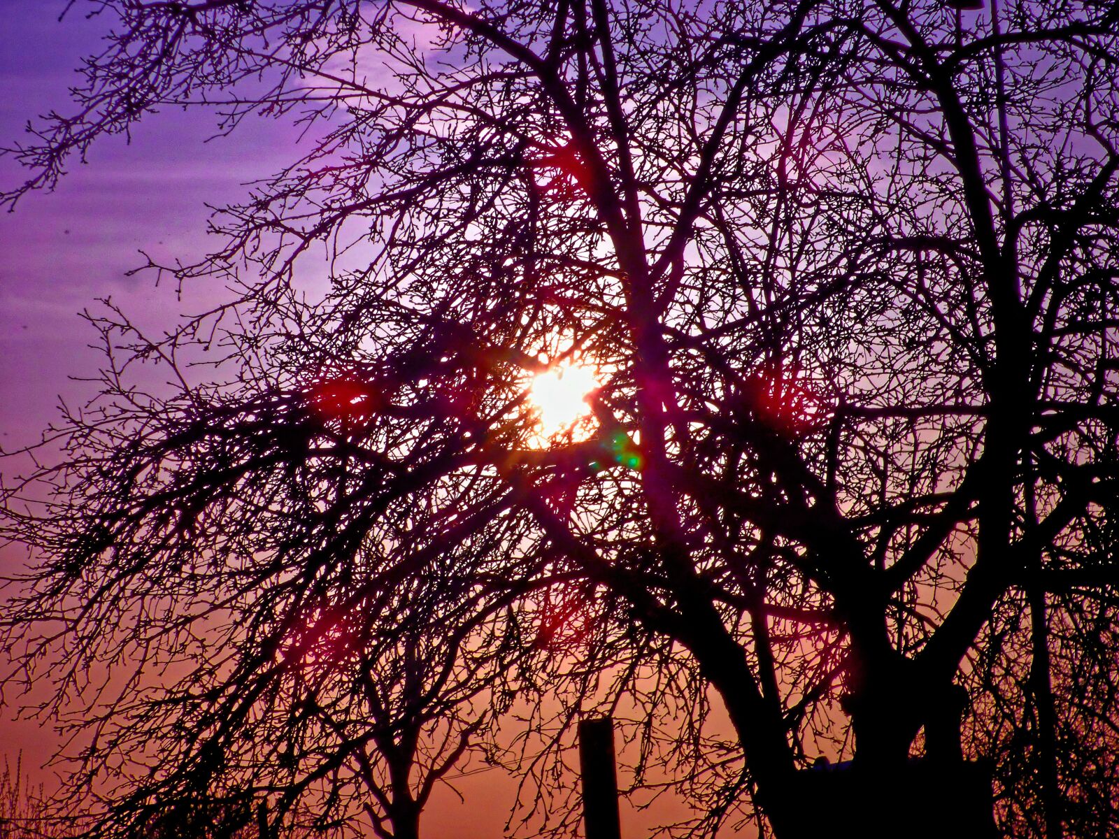 Panasonic DMC-FZ72 sample photo. Sunset, trees, the sky photography