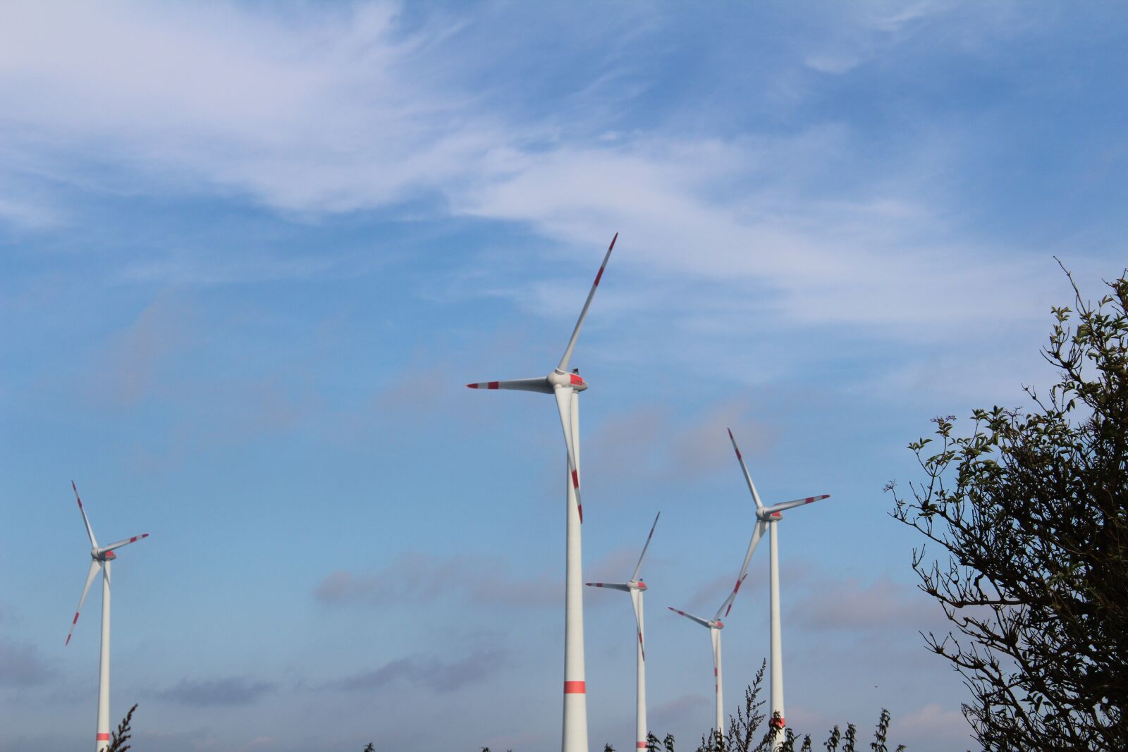 Canon EOS 1300D (EOS Rebel T6 / EOS Kiss X80) sample photo. Pinwheel, wind, windräder photography
