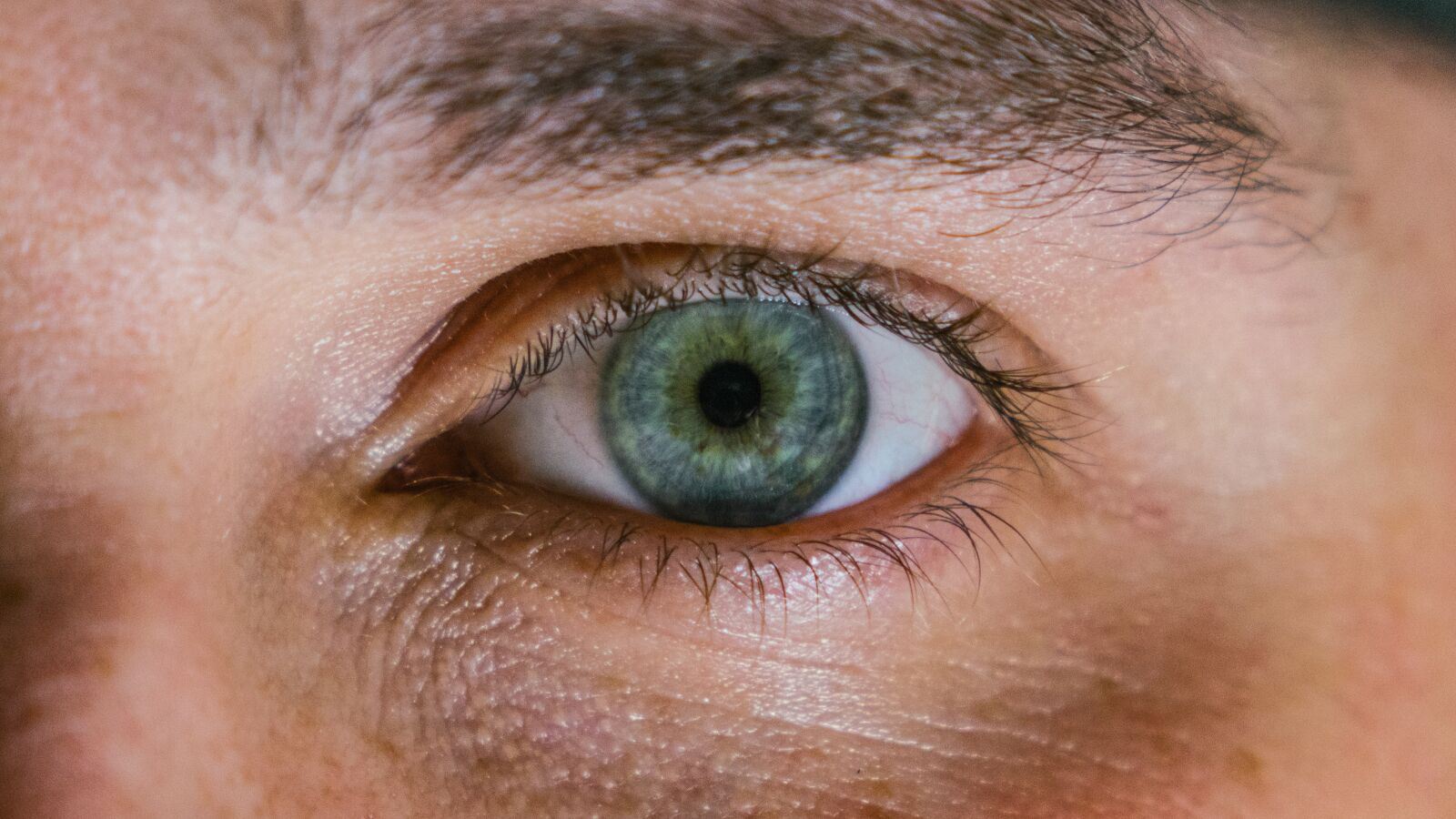 24-200mm F2.8 sample photo. Close-up, eye, eyebrow photography