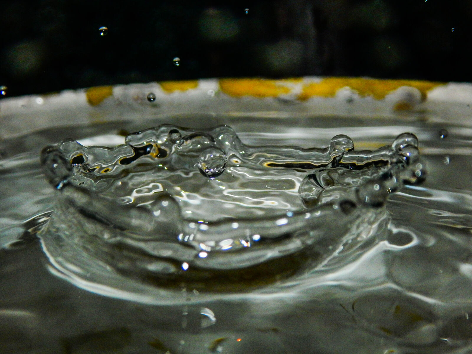 Nikon Coolpix L830 sample photo. Thevin, weerakoon photography