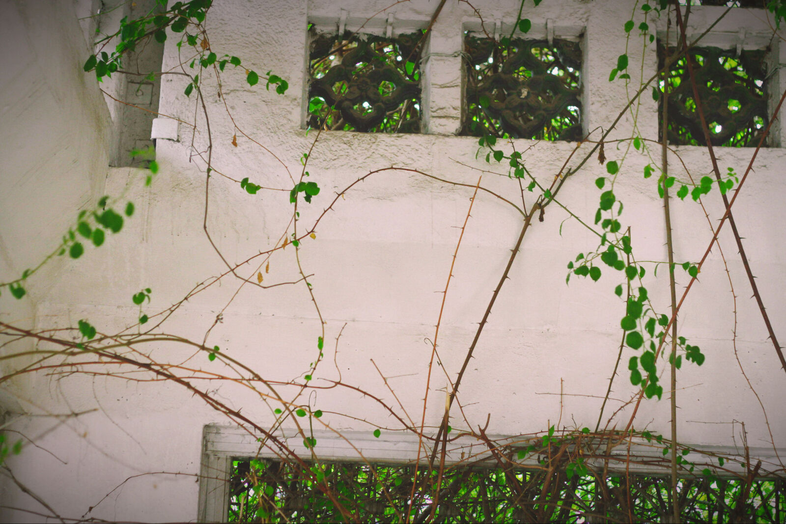 Canon EOS 7D + Canon EF 50mm F1.8 II sample photo