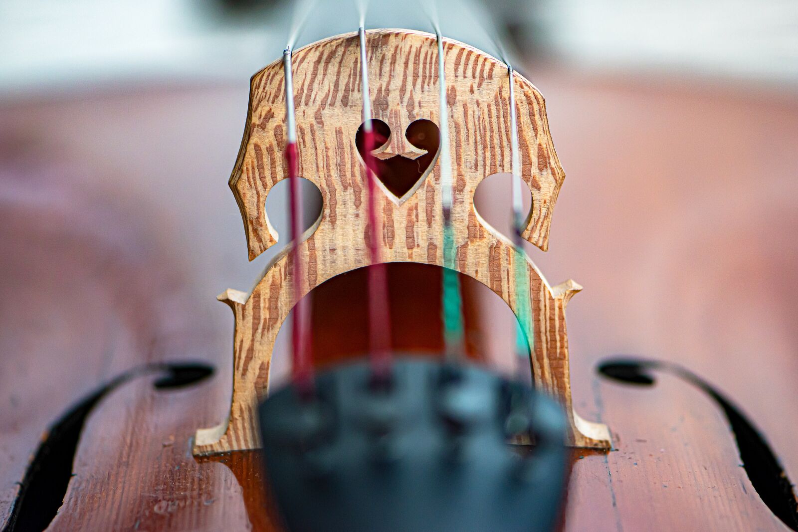 Nikon D5600 sample photo. Cello, strings, sound photography