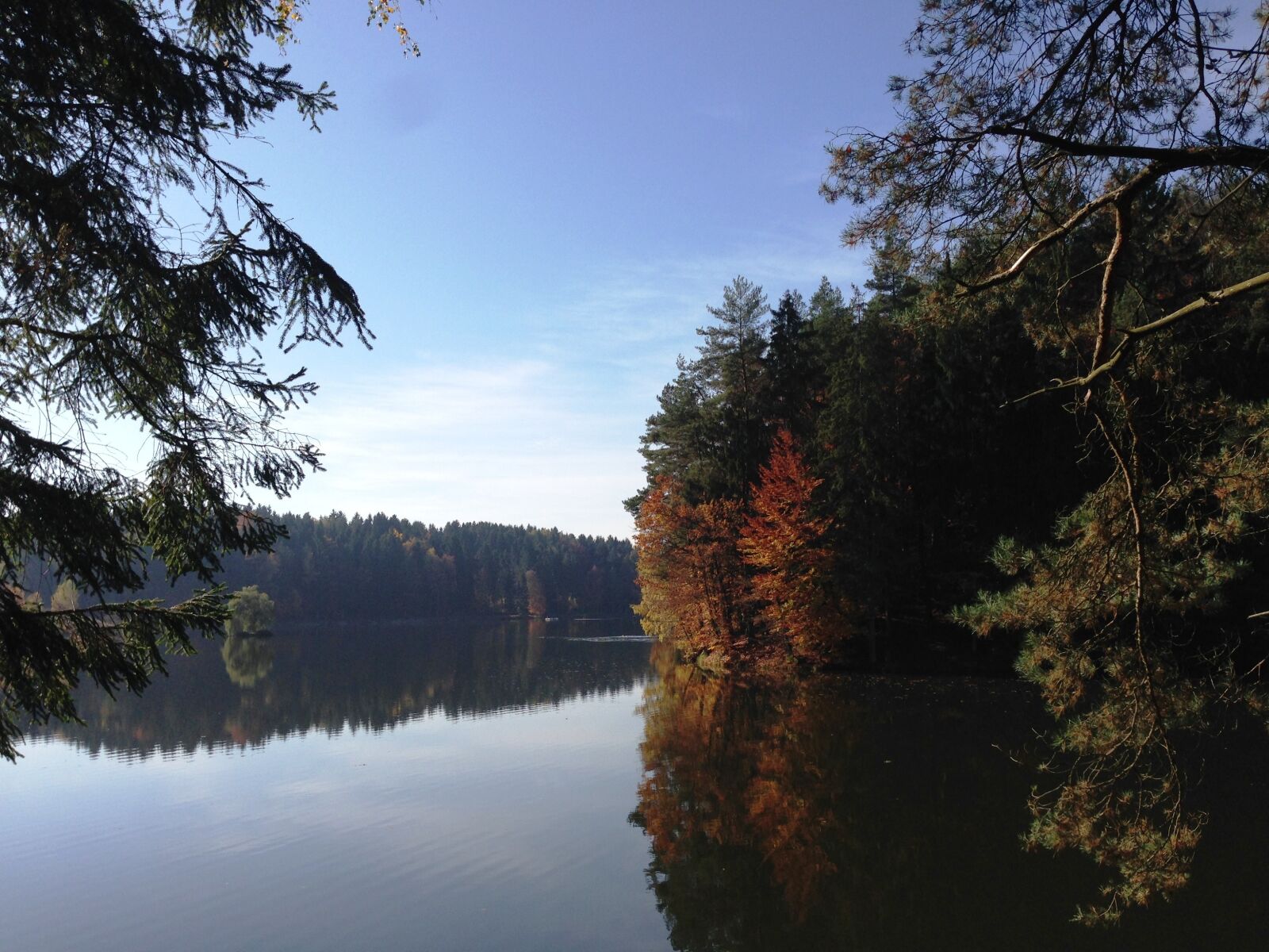 Apple iPhone 5 sample photo. Lake, forest, forest shores photography