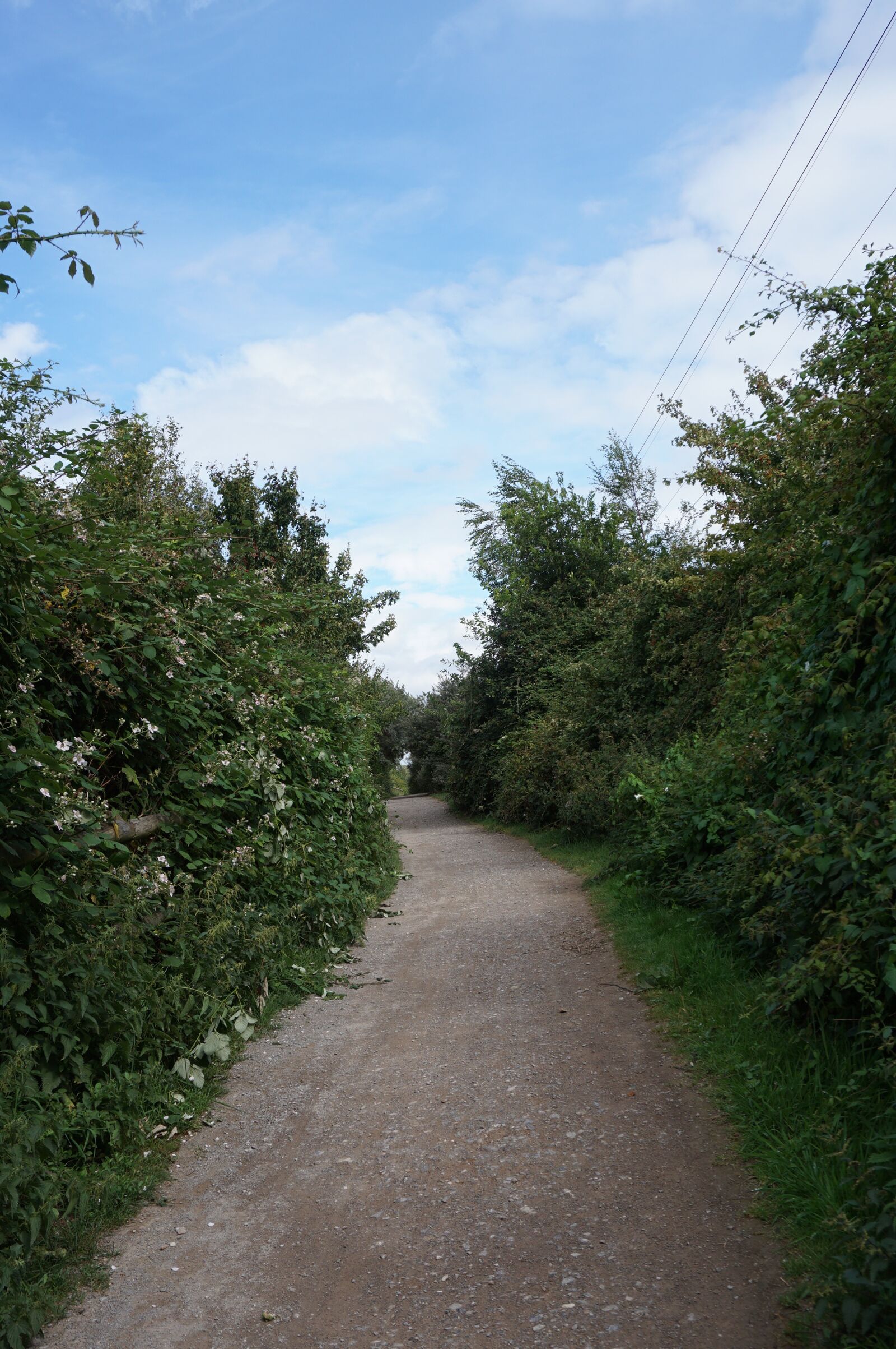Sony a6000 sample photo. Green, road, nature photography