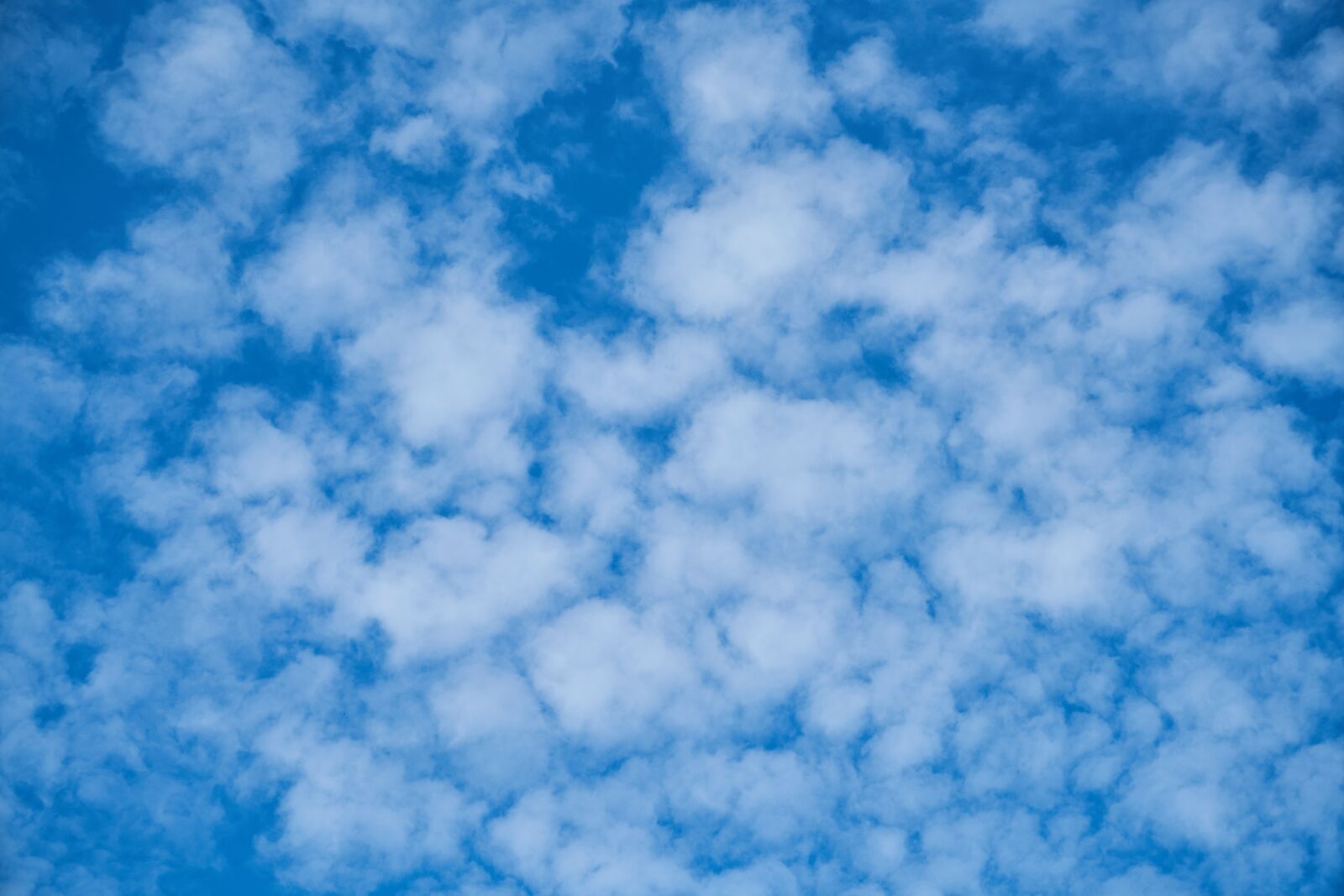 Sony a7R II sample photo. Blue, cloud, clouds photography