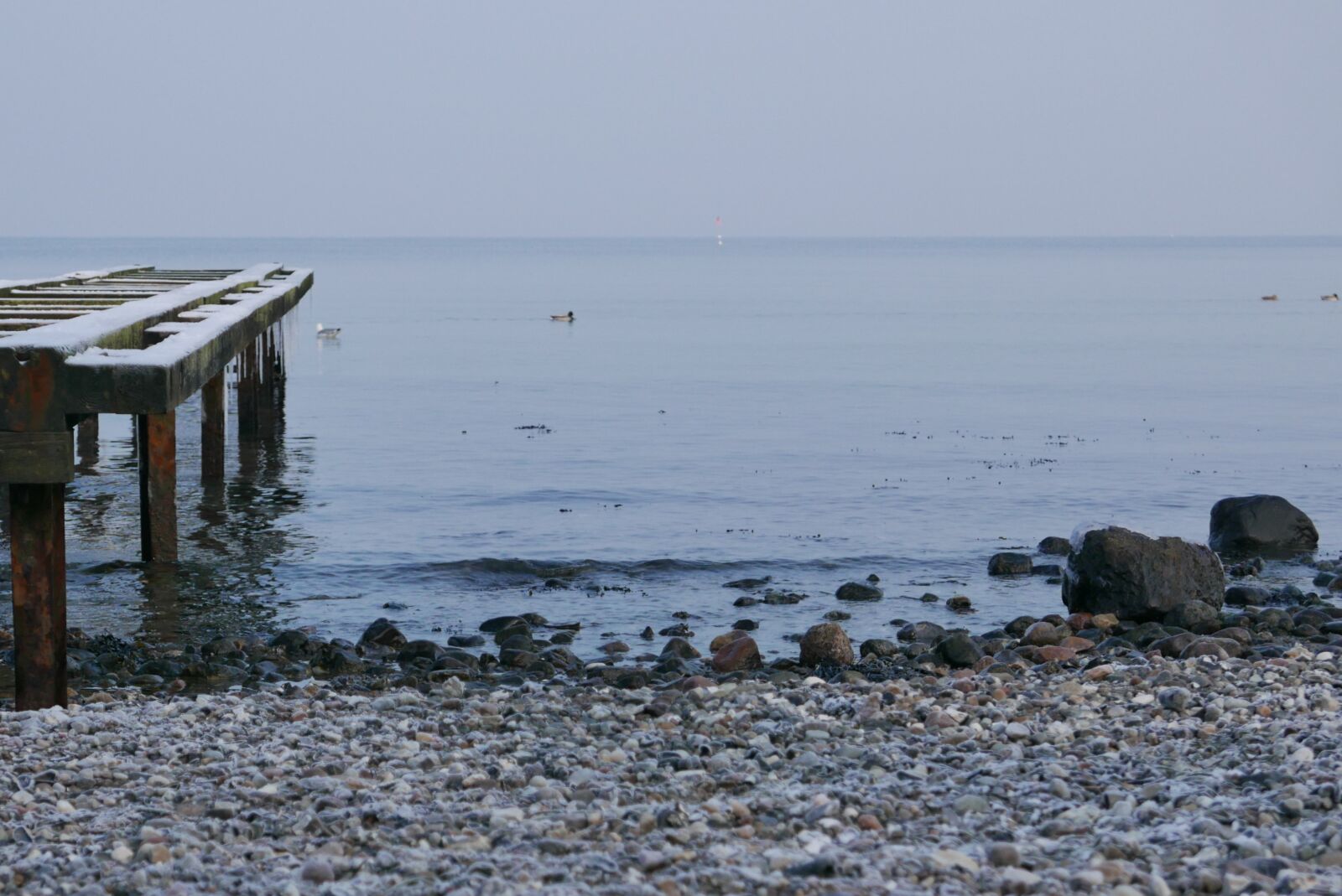 Panasonic Lumix DMC-LX100 sample photo. Sea, baltic sea, stones photography