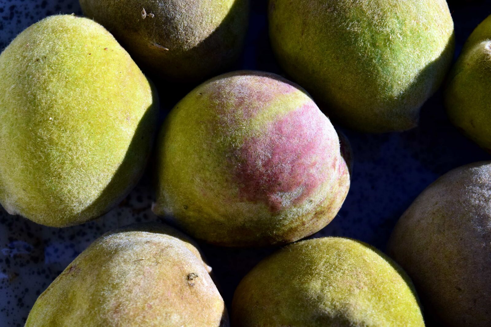 Nikon D3300 sample photo. Peach, food, fruit, organic photography