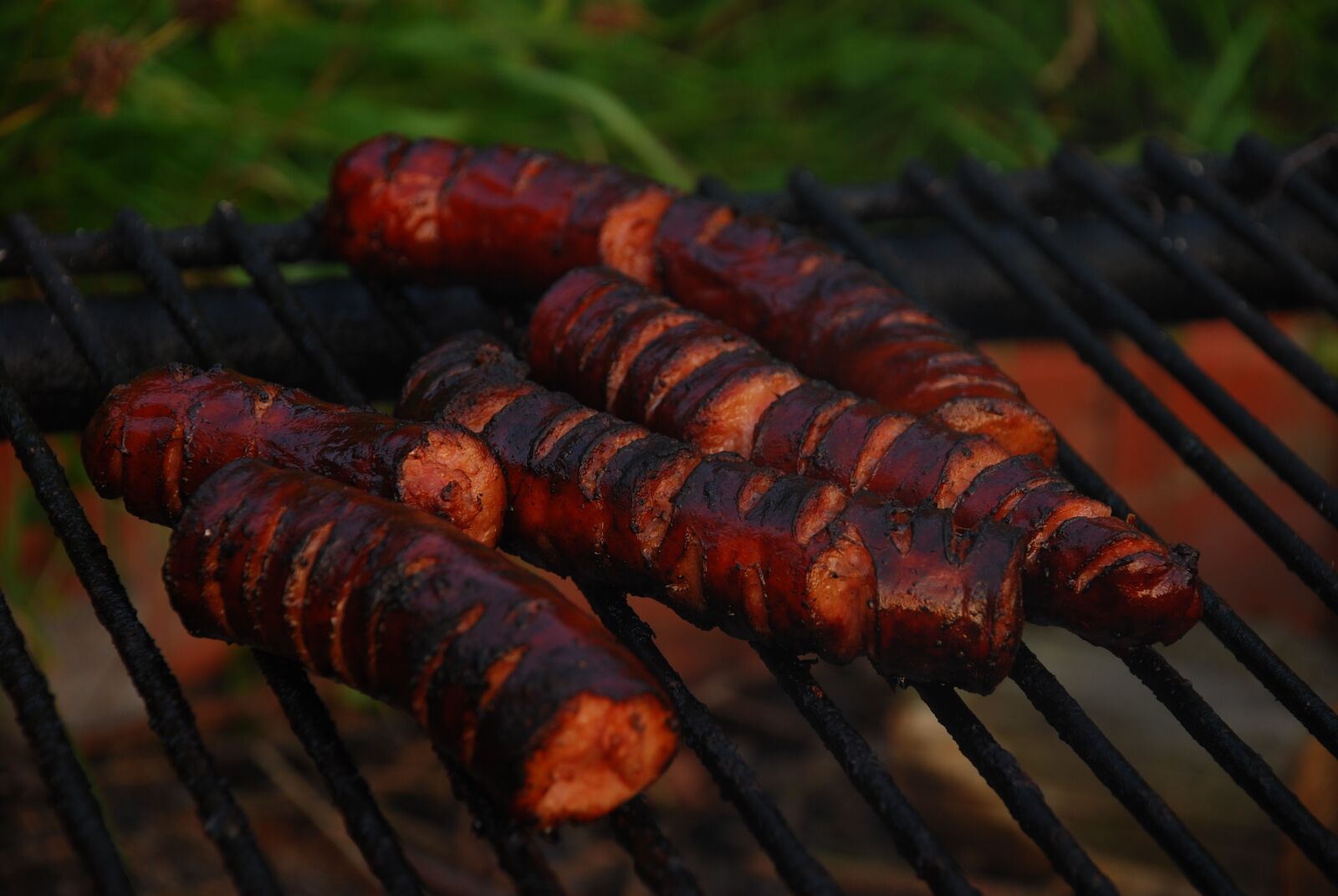 Nikon D80 sample photo. Sausage, grill, grate photography