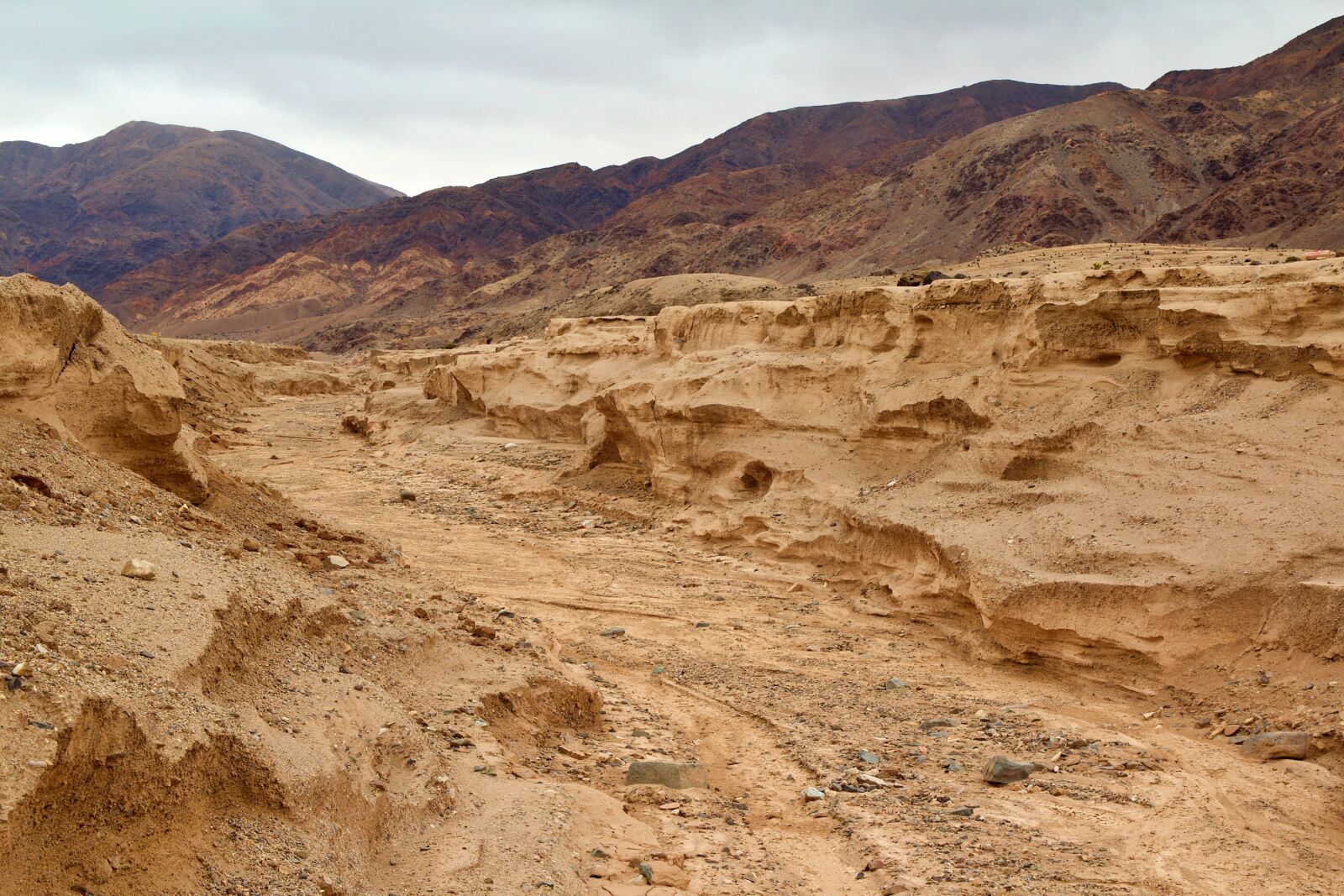 Canon EOS 600D (Rebel EOS T3i / EOS Kiss X5) sample photo. Chile, coast, nature photography