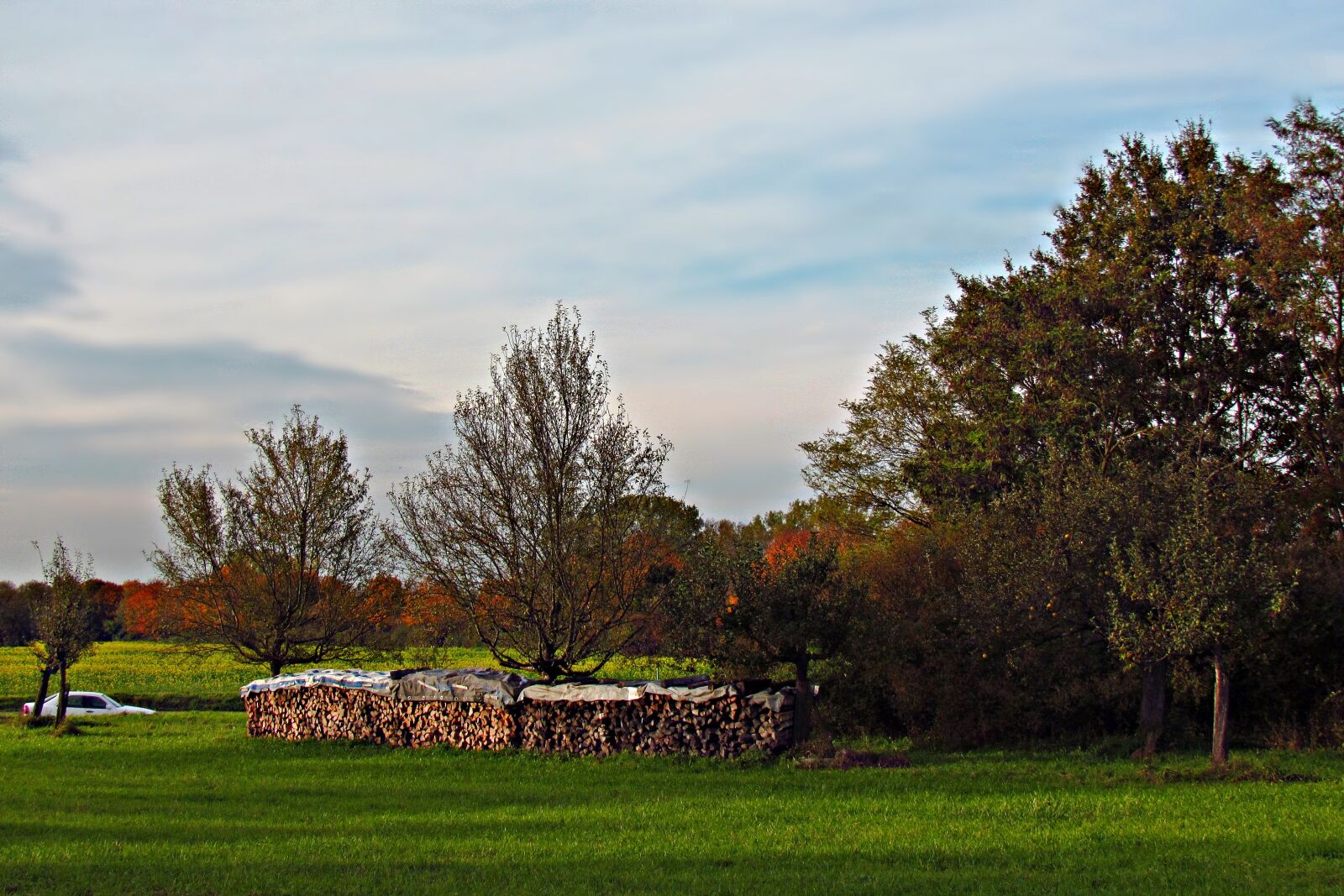Canon PowerShot SX30 IS sample photo. Meadow, field, landscape photography