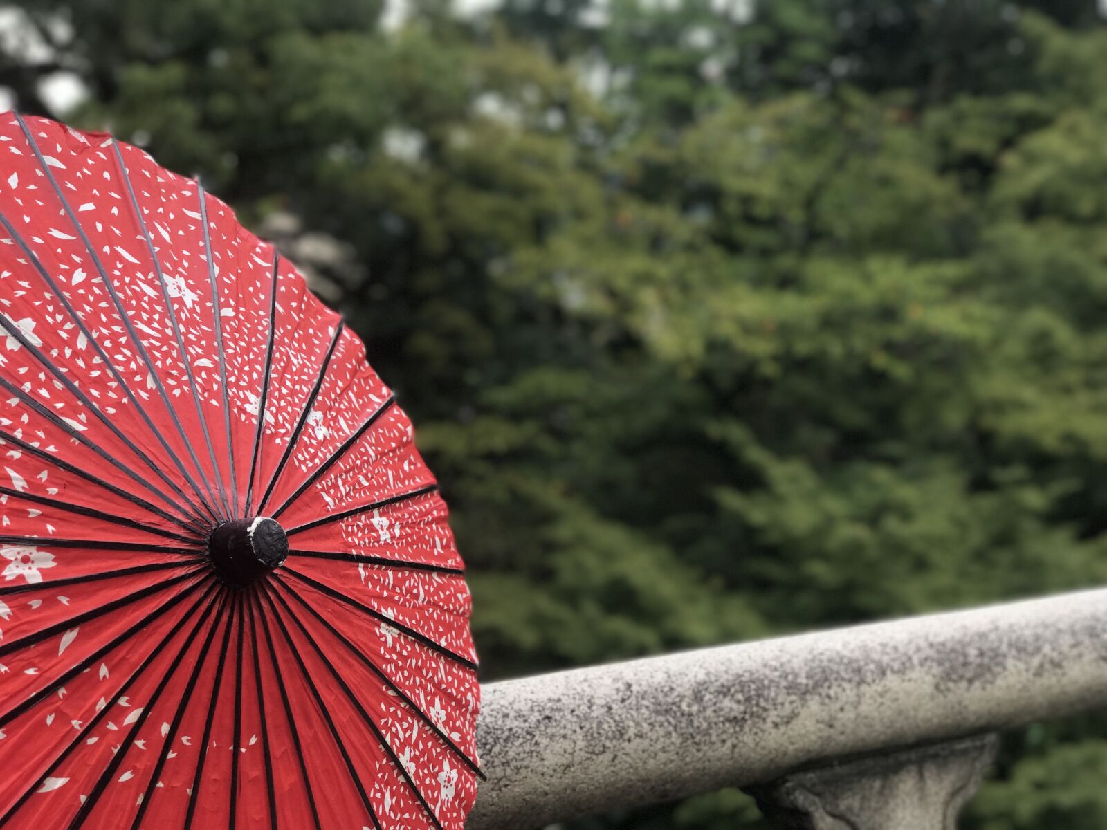 iPhone 7 Plus back dual camera 6.6mm f/2.8 sample photo. Red, umbrella, bridge photography
