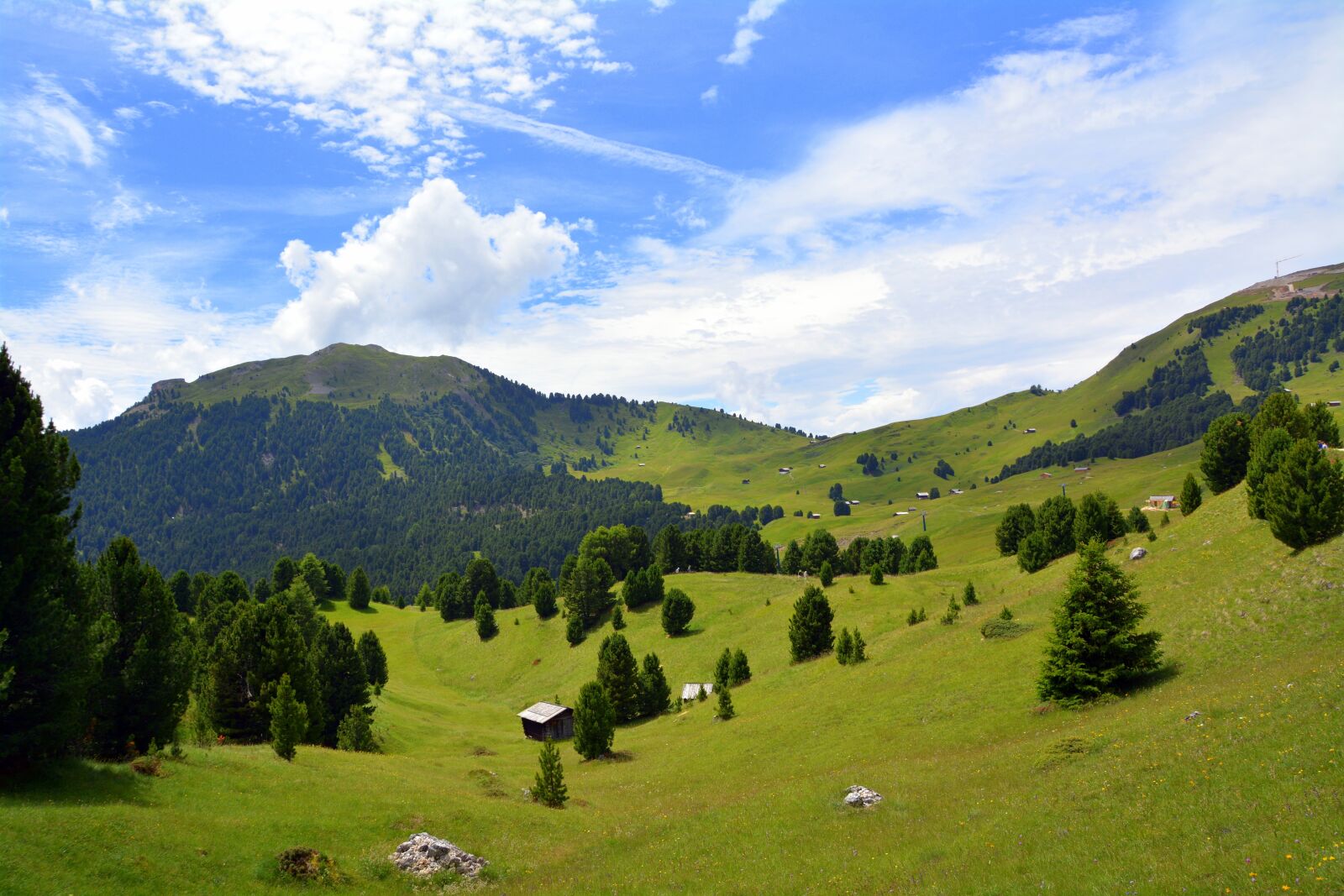 Nikon D7100 sample photo. Mountain, colle, prato photography