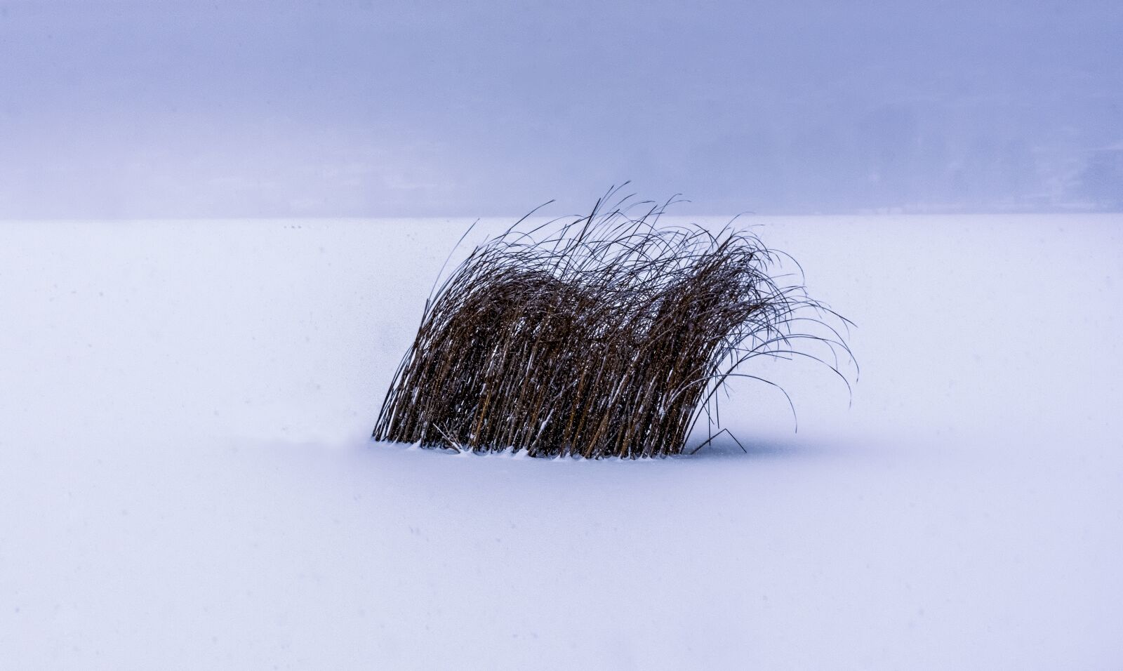 Tamron SP 24-70mm F2.8 Di VC USD sample photo. Winter, lake, nature photography