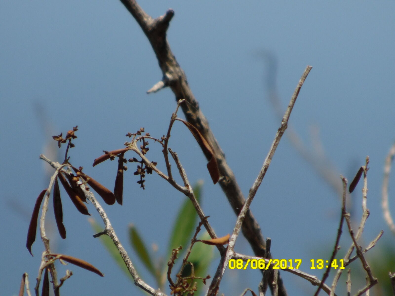 Samsung WB1100F/WB1101F/WB1102F sample photo
