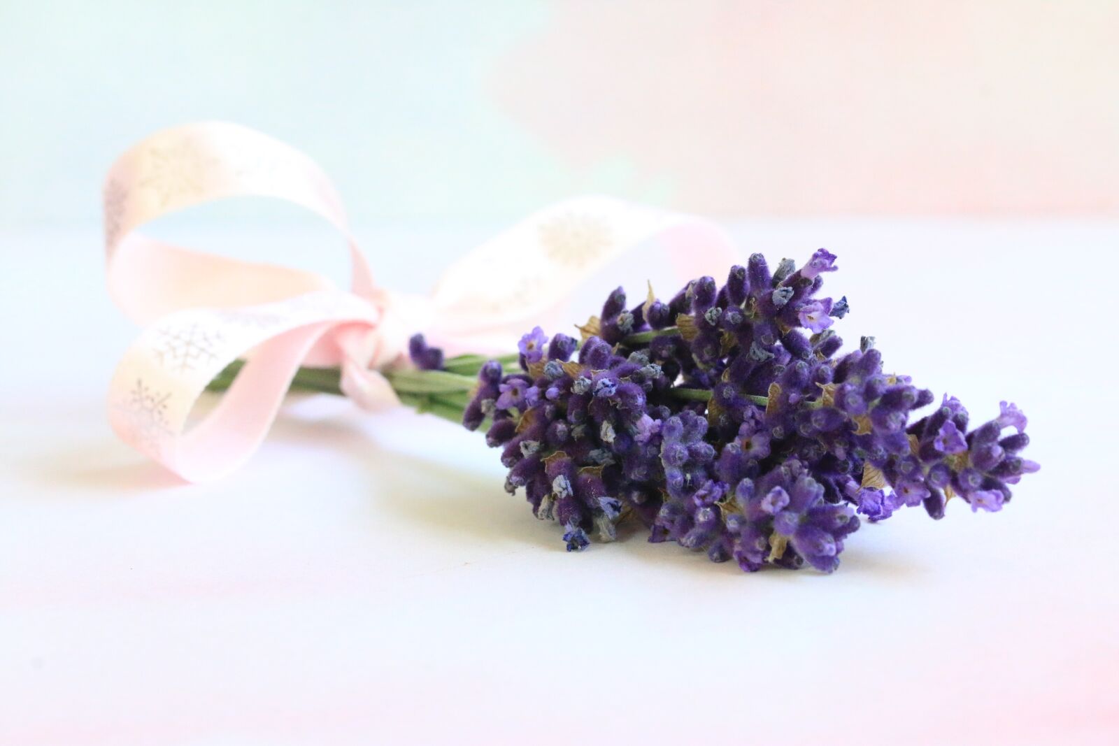 Canon EOS 70D + Canon EF 100mm F2.8L Macro IS USM sample photo. Lavender, bouquet, plant photography