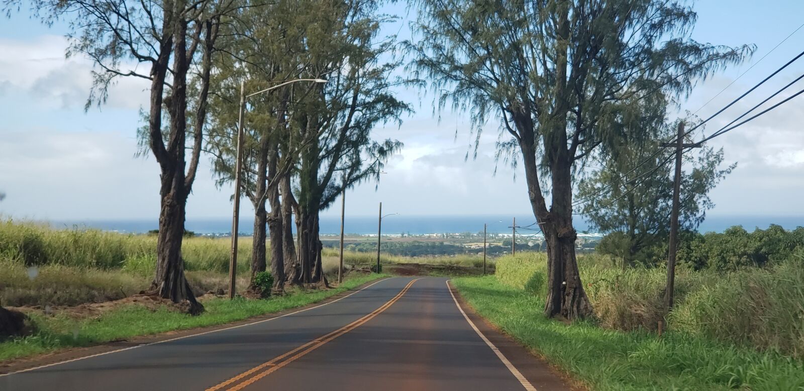 Samsung Galaxy Note9 sample photo. Hawaiioahu, hawaii, trees photography