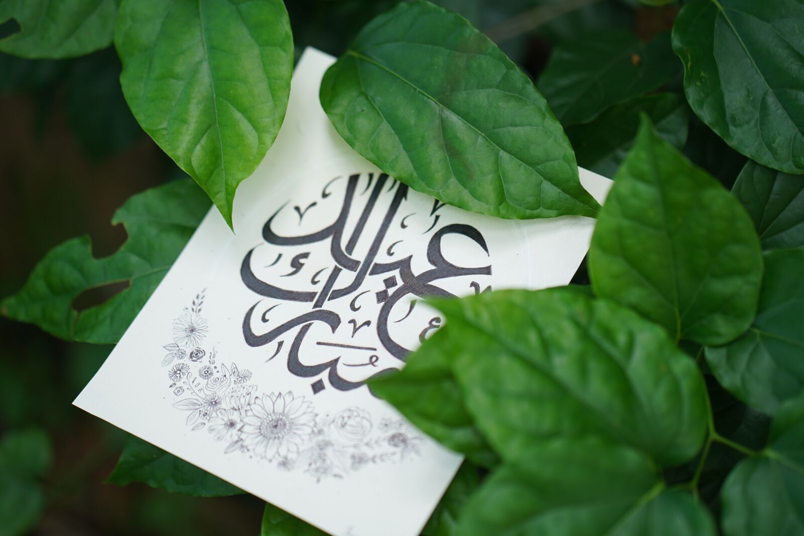 Sony a7 III sample photo. Calligraphy, eid, green background photography