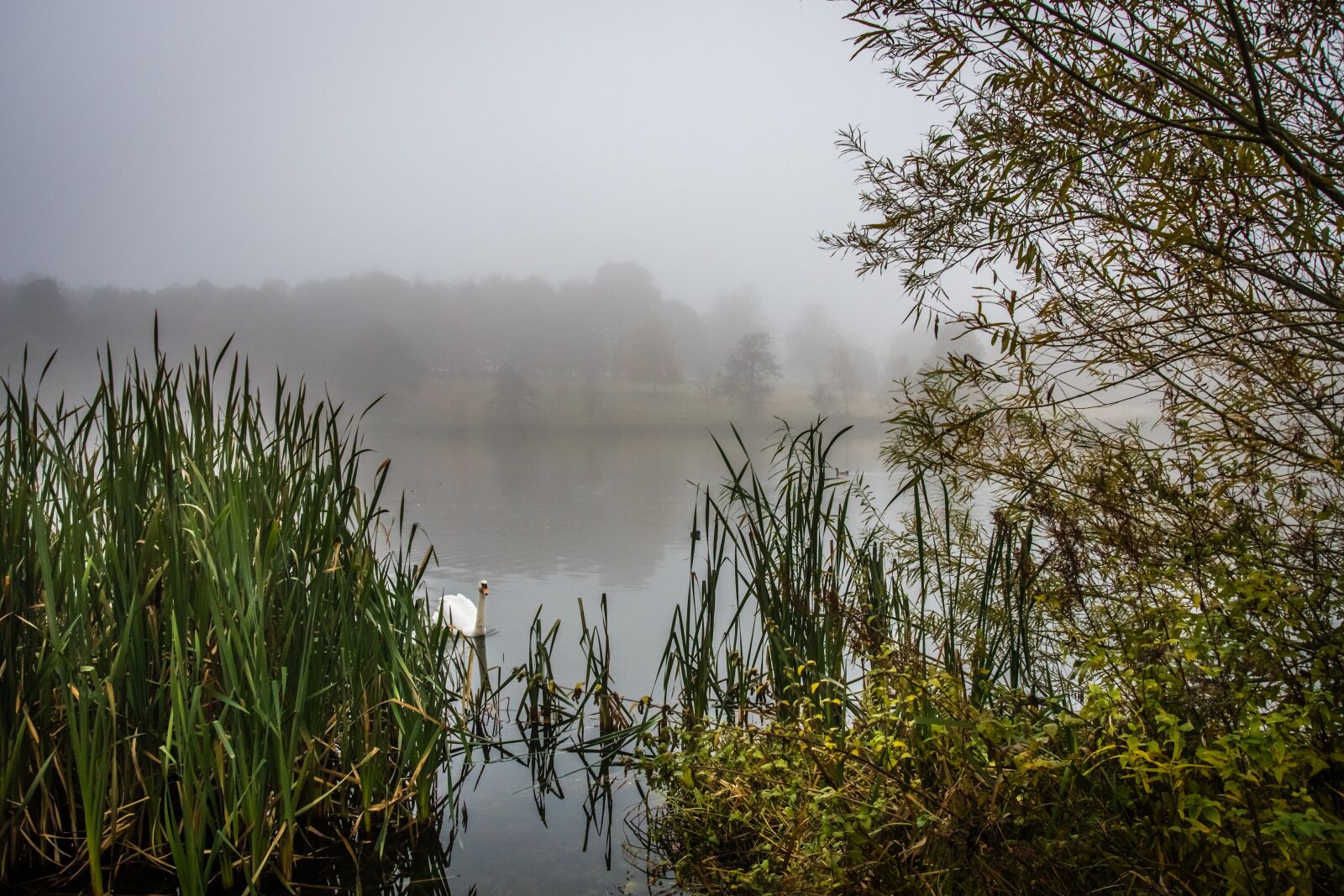 Nikon D500 sample photo. Landscape, misty, lake photography