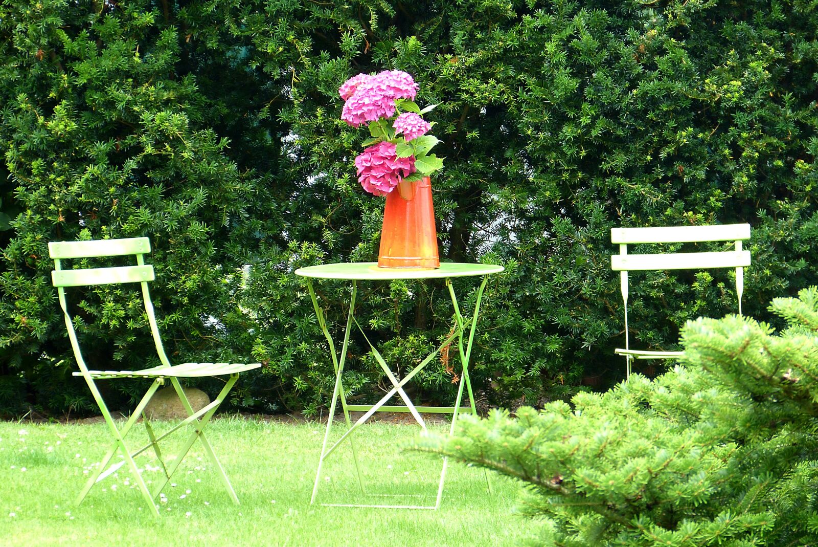 Panasonic Lumix DMC-FZ150 sample photo. Garden, summer, föhr photography