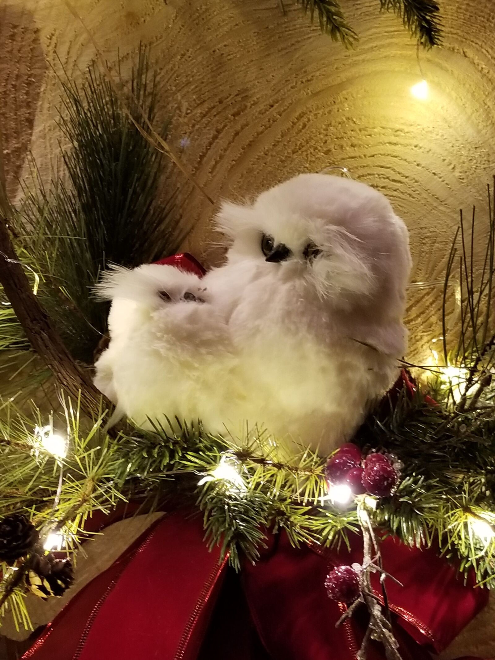 Samsung Galaxy S8+ sample photo. Owls, holiday, cute photography