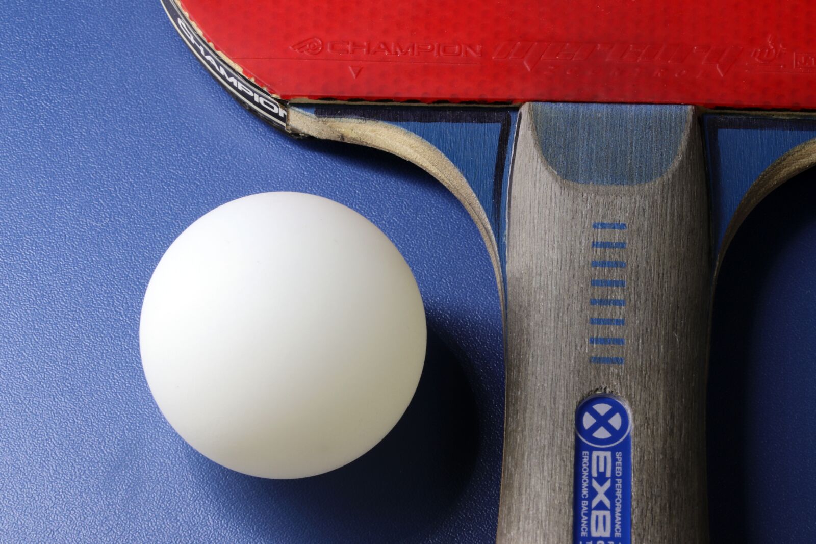 Canon EOS 800D (EOS Rebel T7i / EOS Kiss X9i) sample photo. Table tennis, sport, games photography