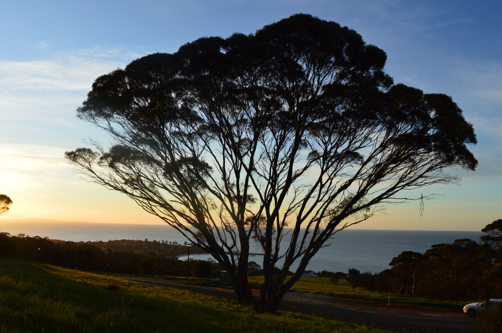 Nikon D3200 sample photo