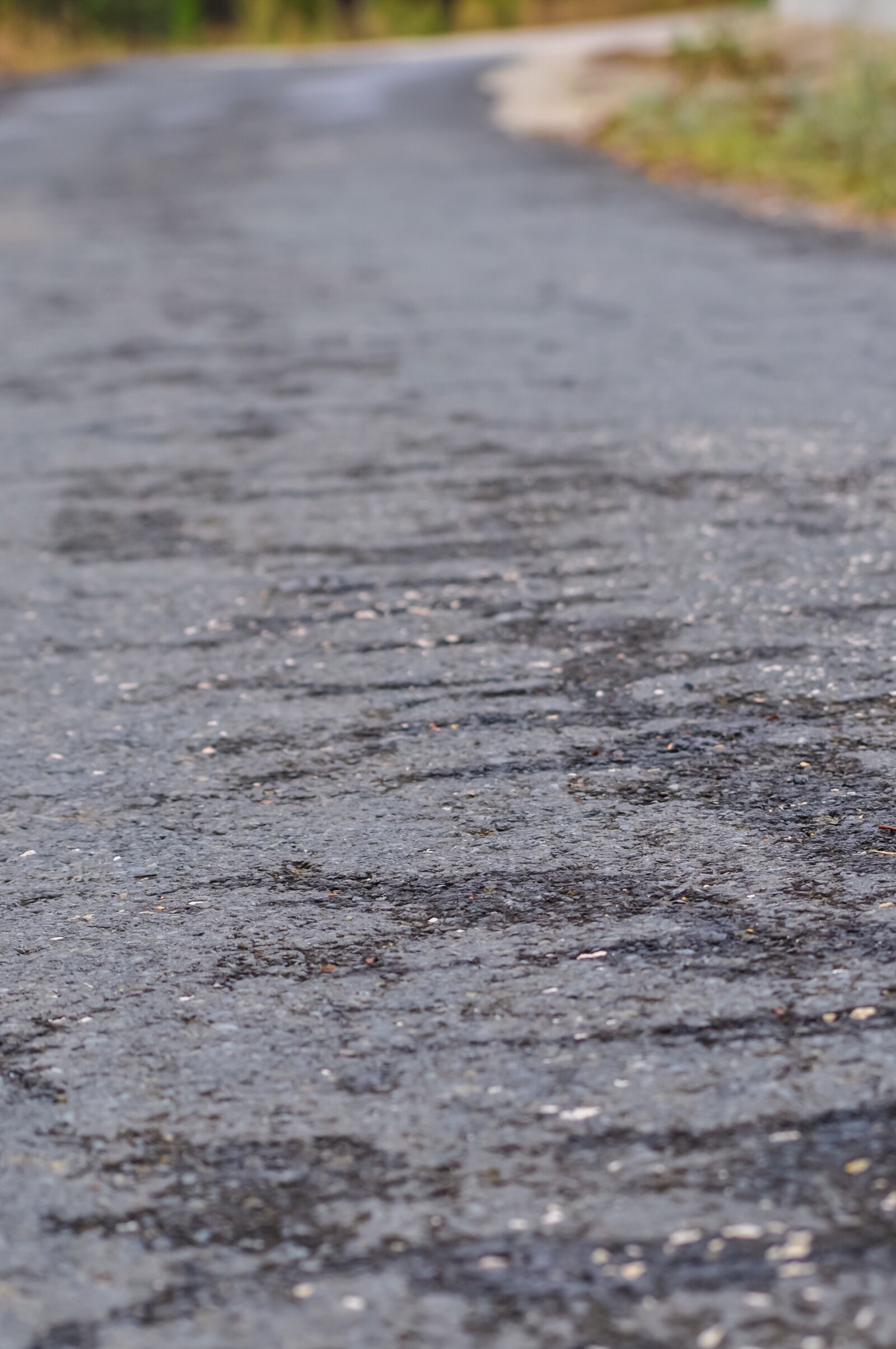 Nikon D90 sample photo. Path, road, ground photography